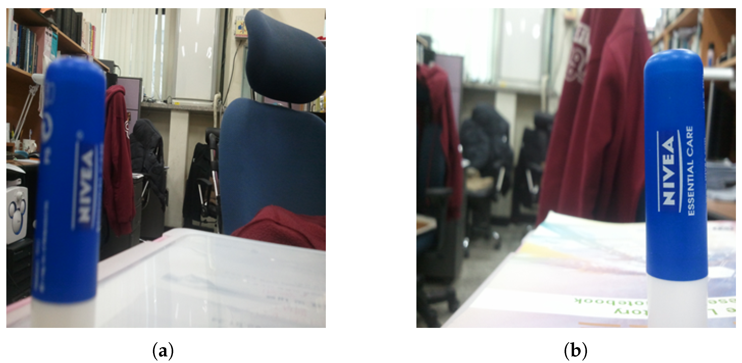 Entropy 22 00060 g001