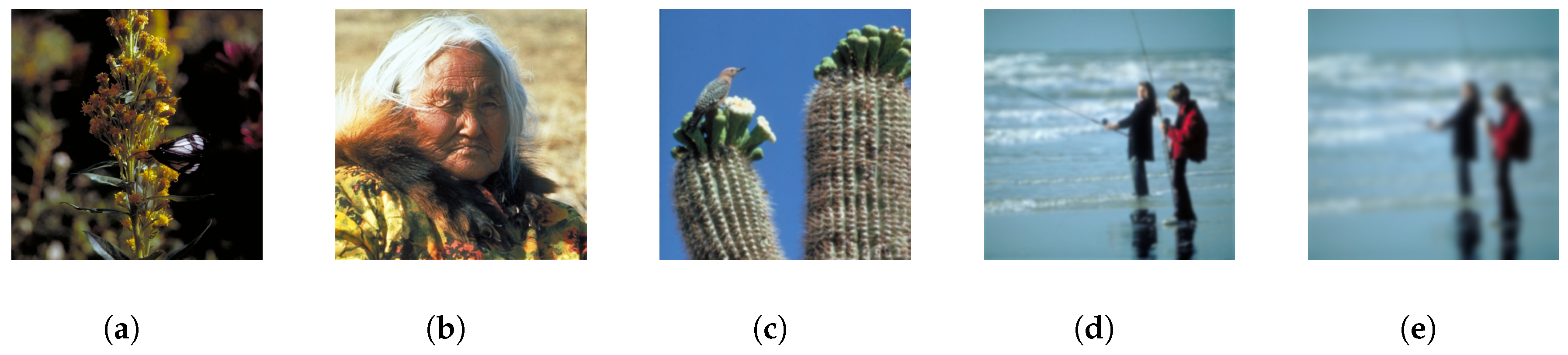 Entropy 22 00060 g009