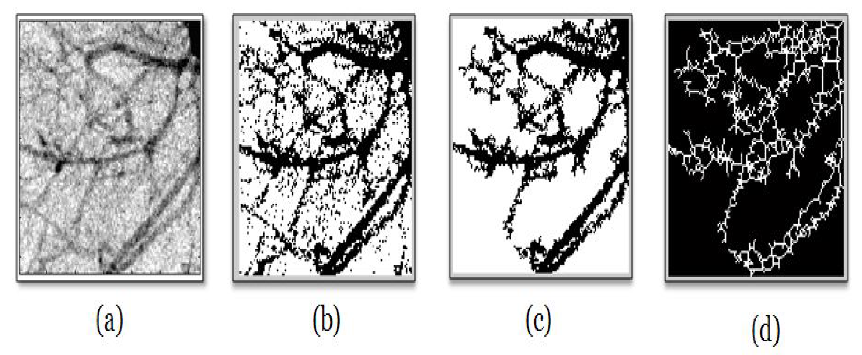 Entropy 22 00166 g001