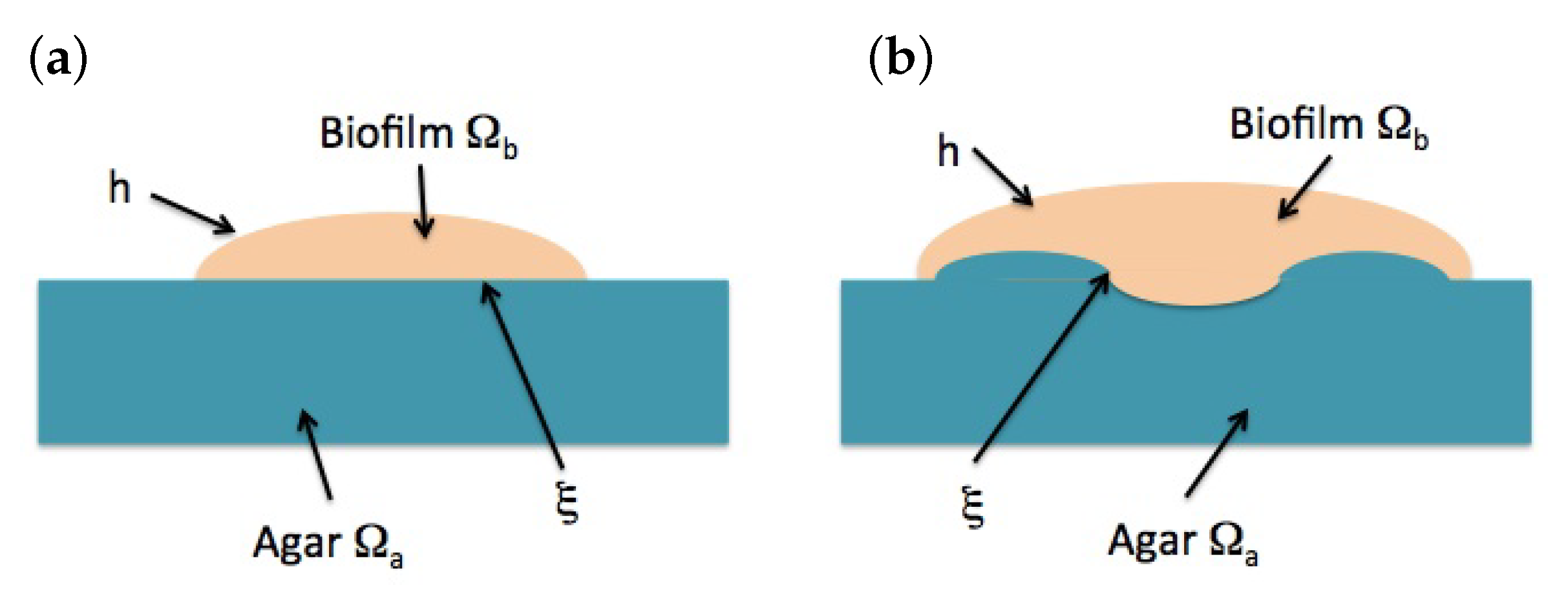 Entropy 22 00188 g003 Entropy 22 00188 g003