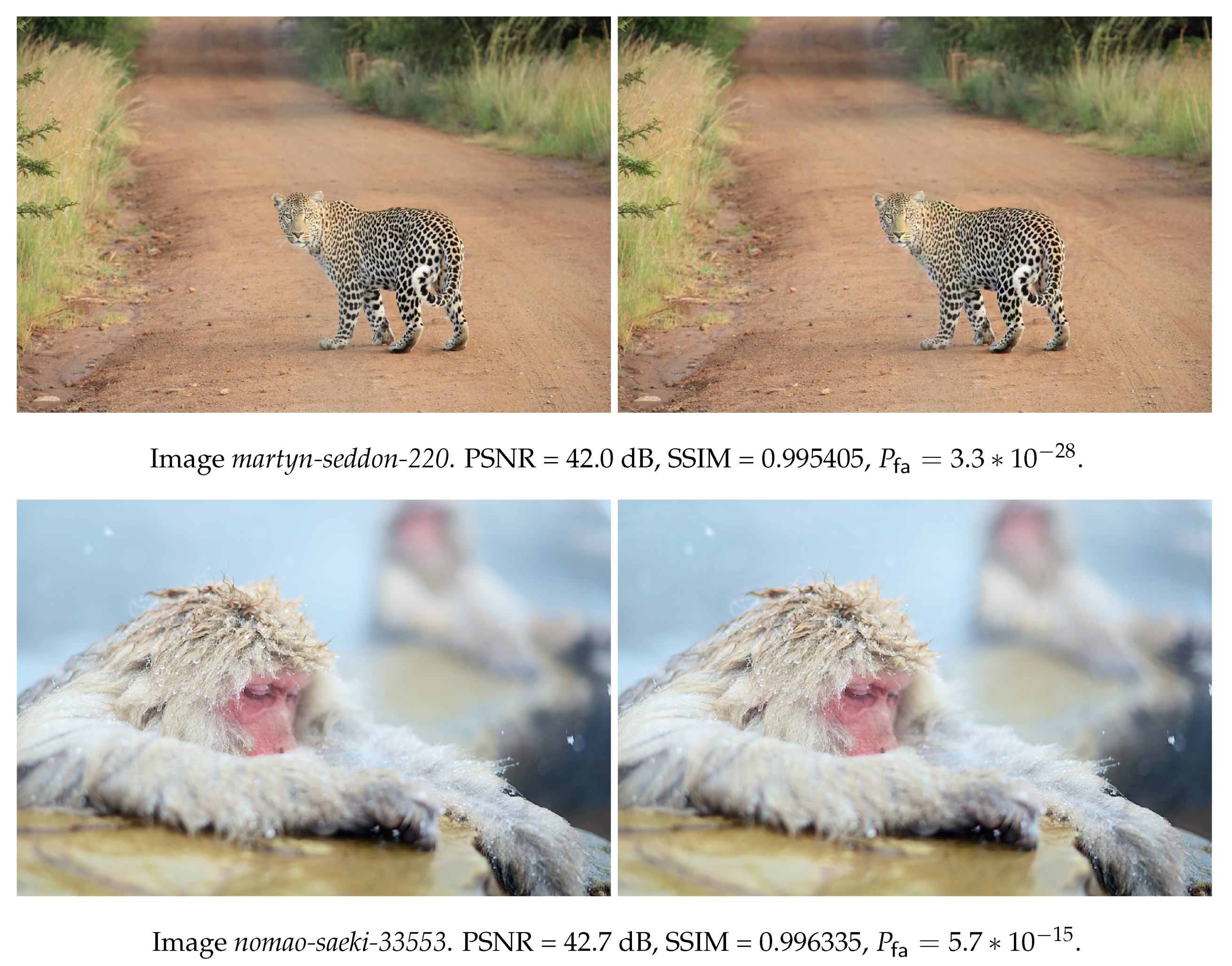 Entropy 22 00198 g0a2 Entropy 22 00198 g0a2