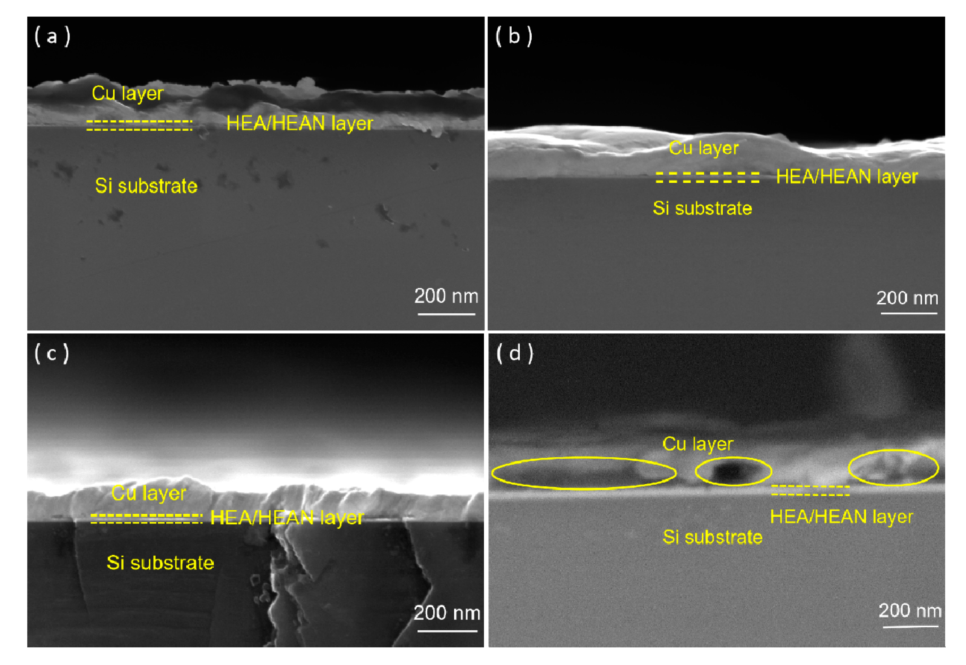 Entropy 22 00234 g002 Entropy 22 00234 g002