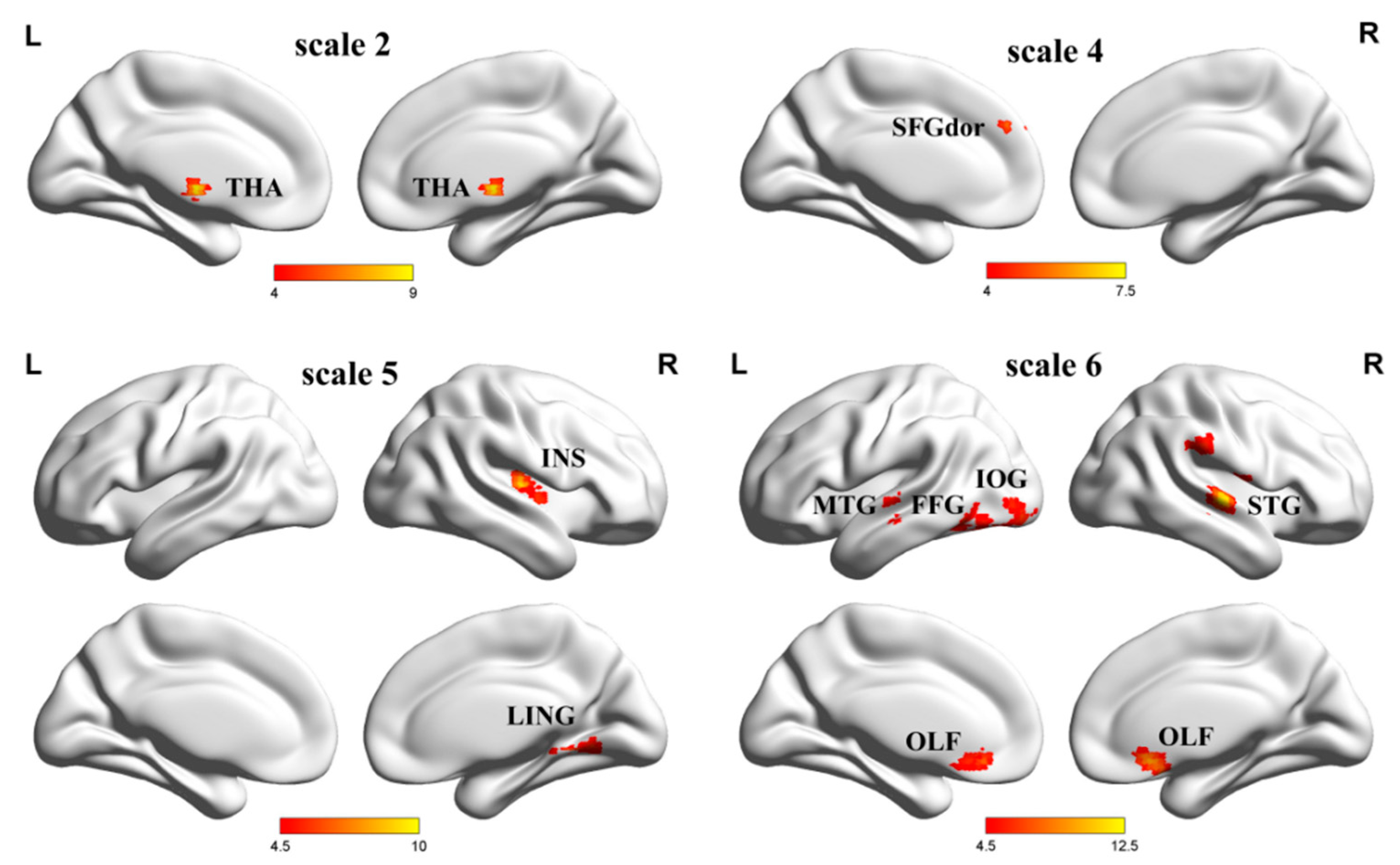 Entropy 22 00239 g008