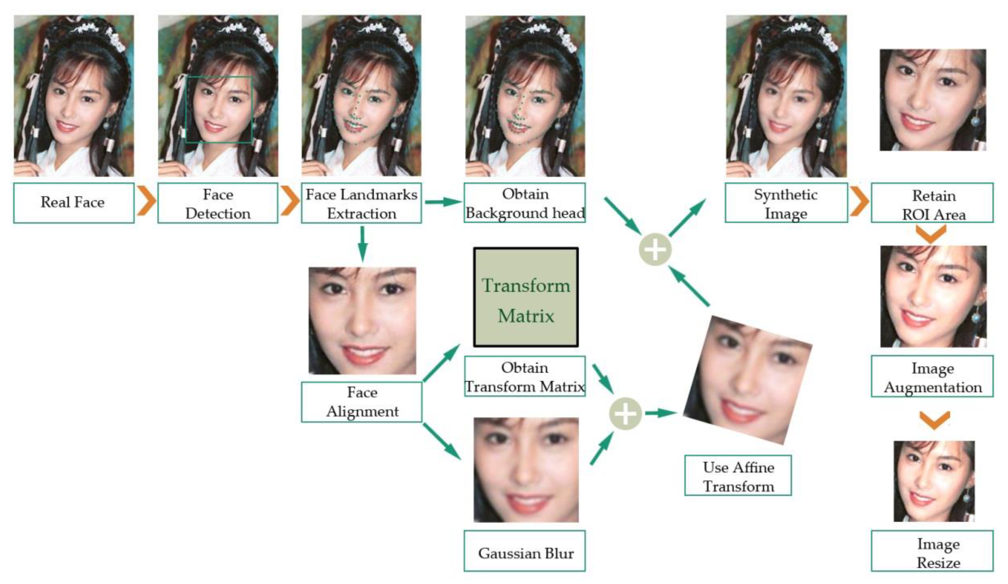 Entropy 22 00249 g003