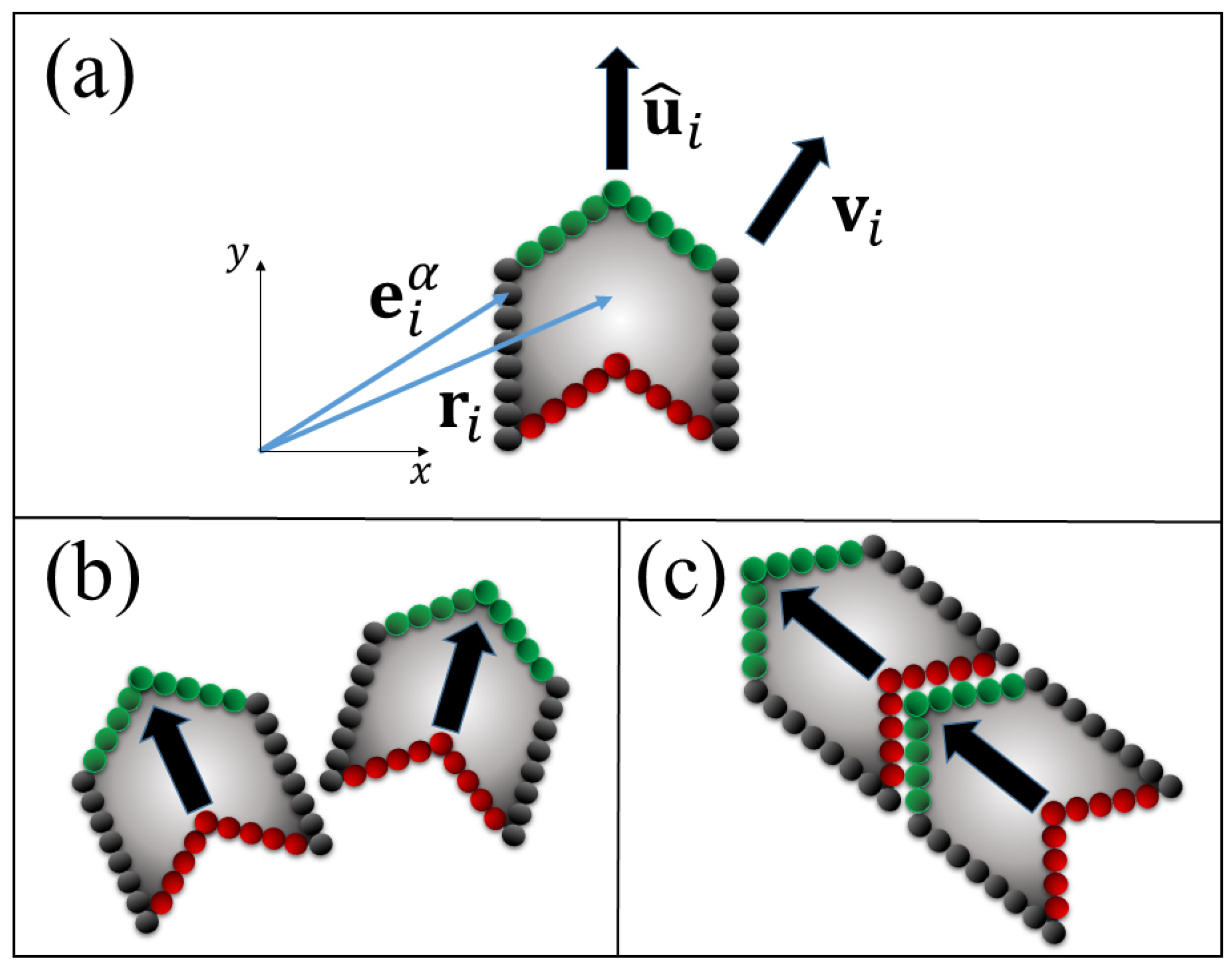 Entropy 22 00251 g001