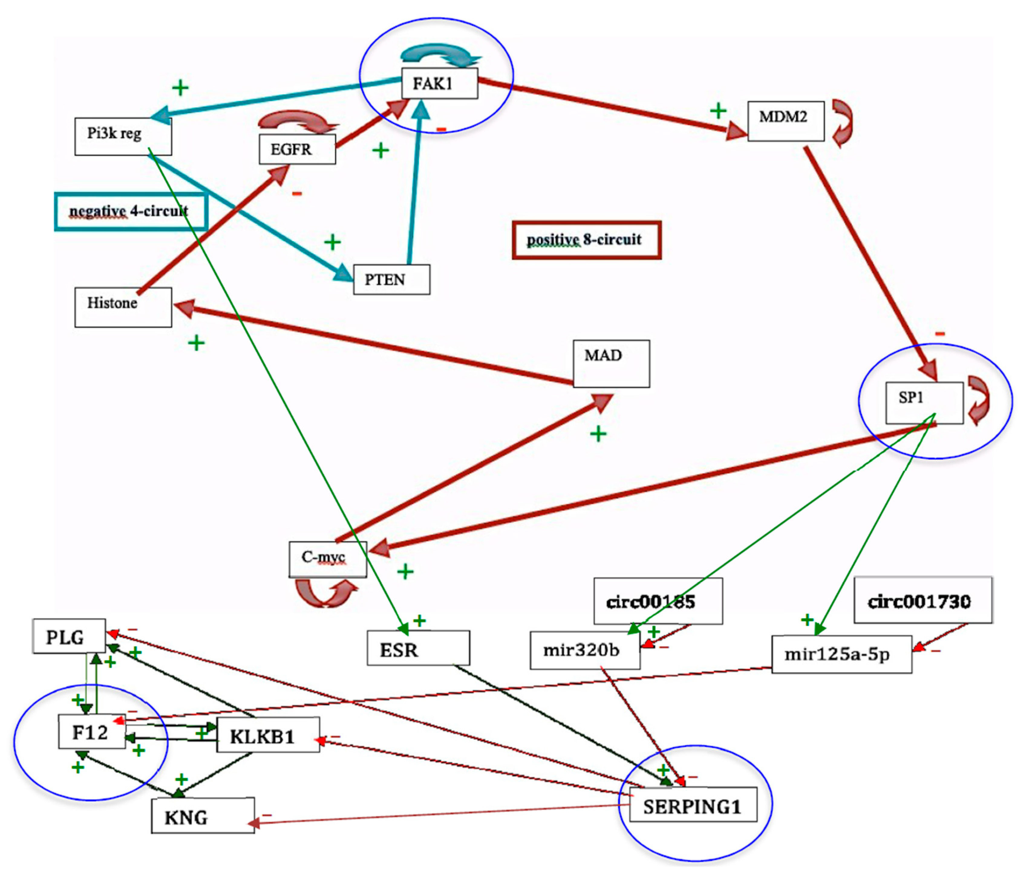 Entropy 22 00260 g007