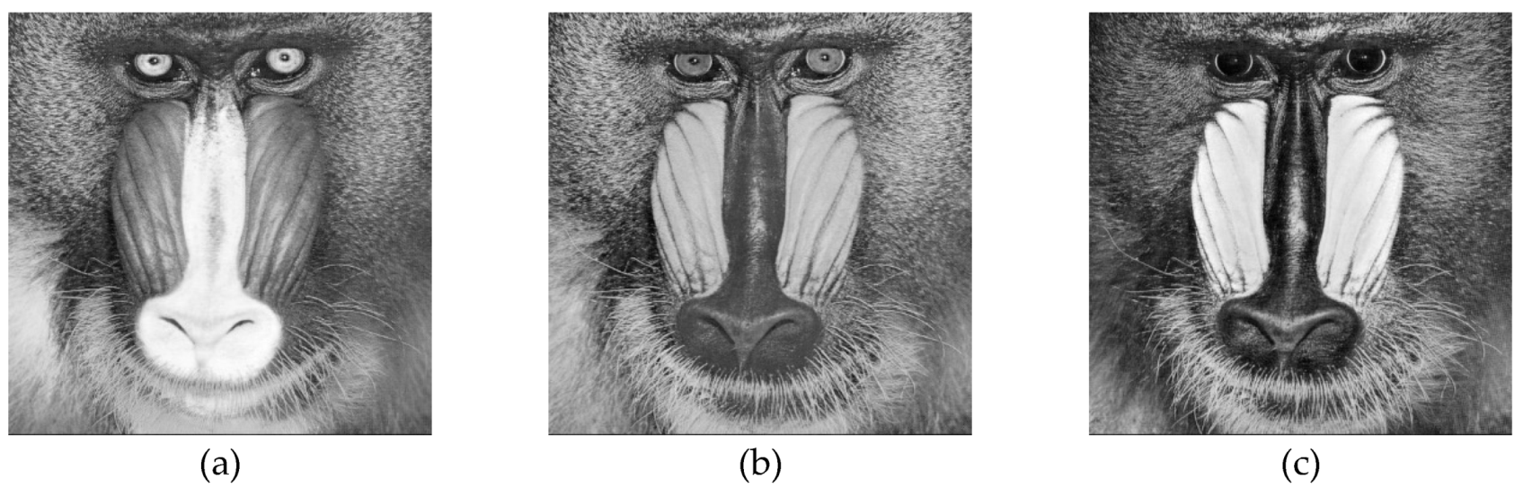 Entropy 22 00274 g012