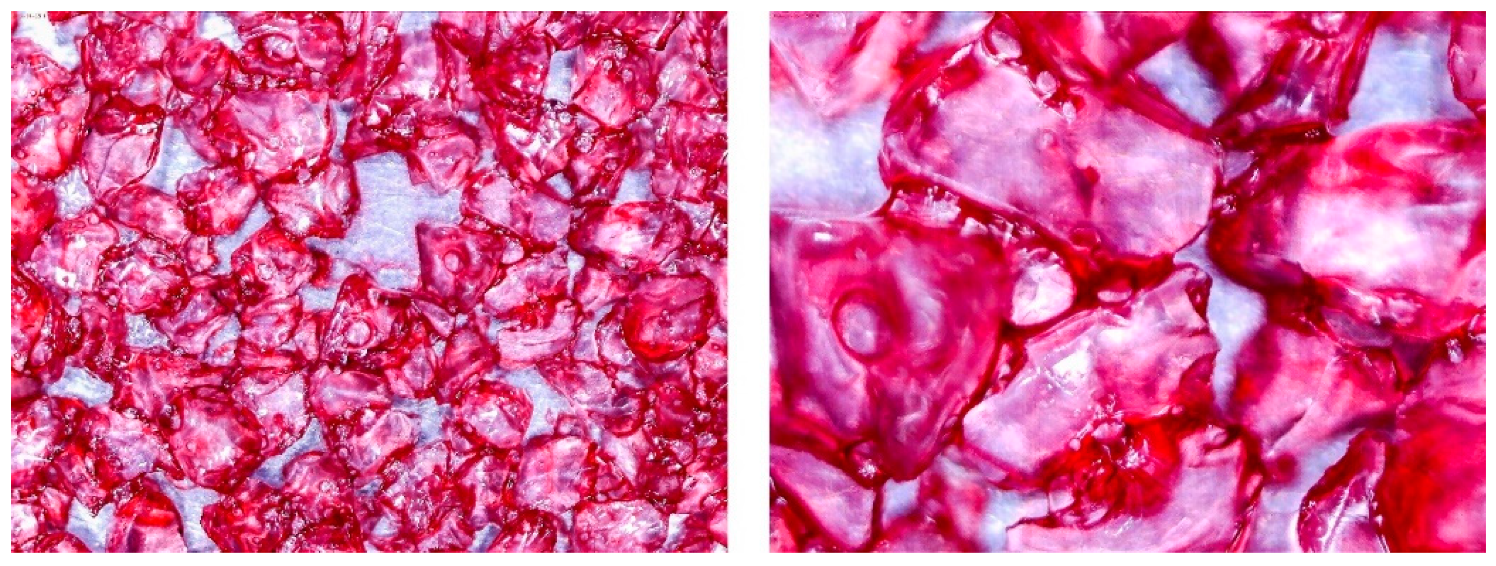 Entropy 22 00327 g005 Entropy 22 00327 g005