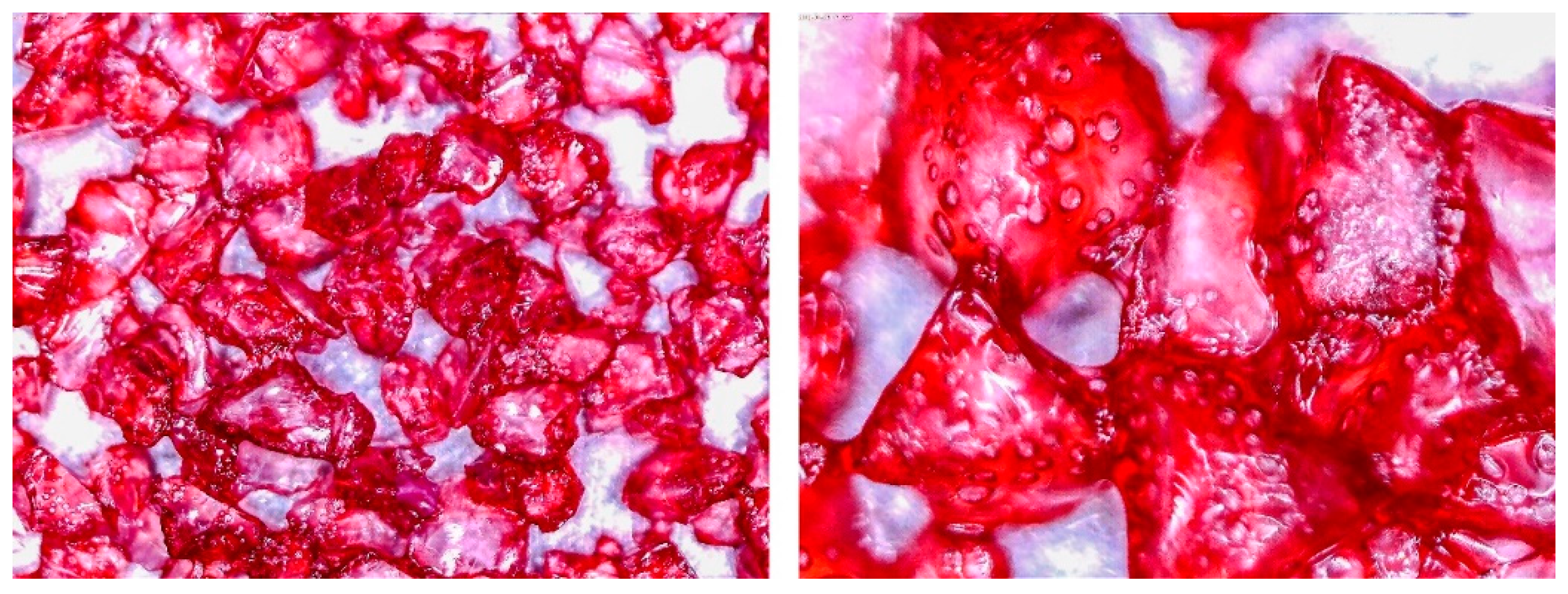 Entropy 22 00327 g007 Entropy 22 00327 g007