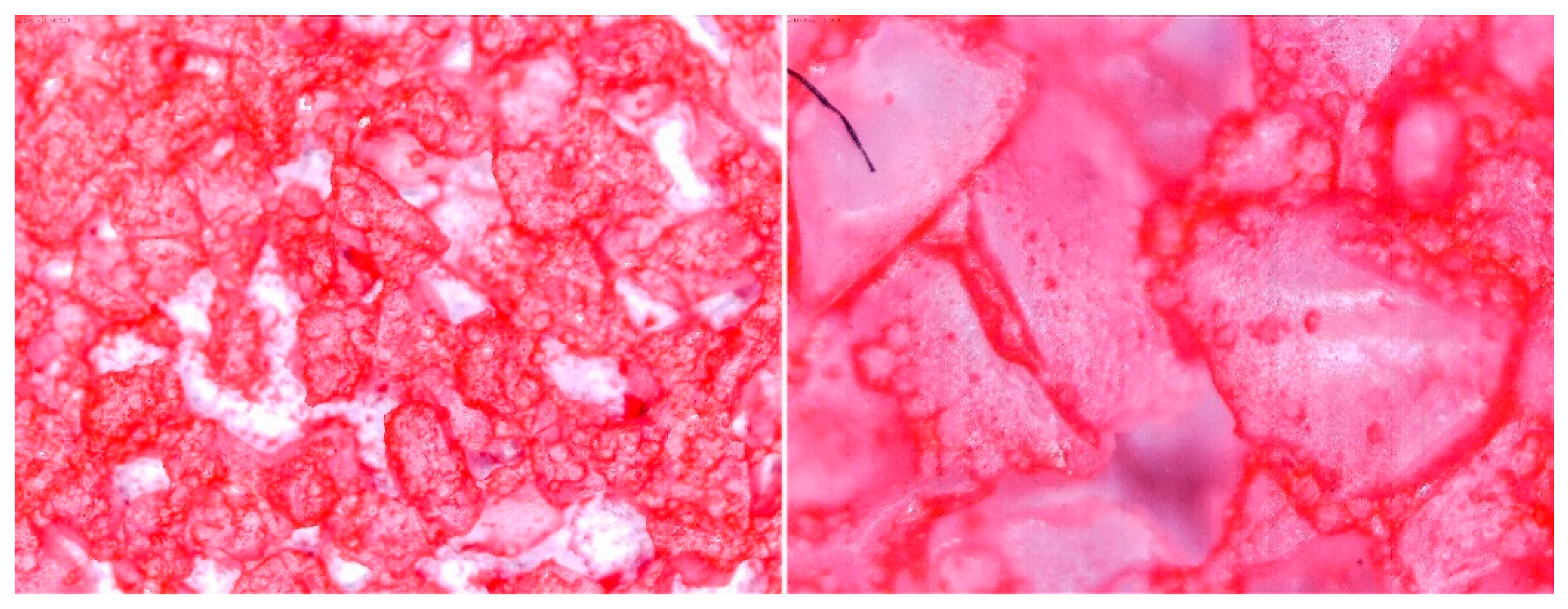 Entropy 22 00327 g008 Entropy 22 00327 g008