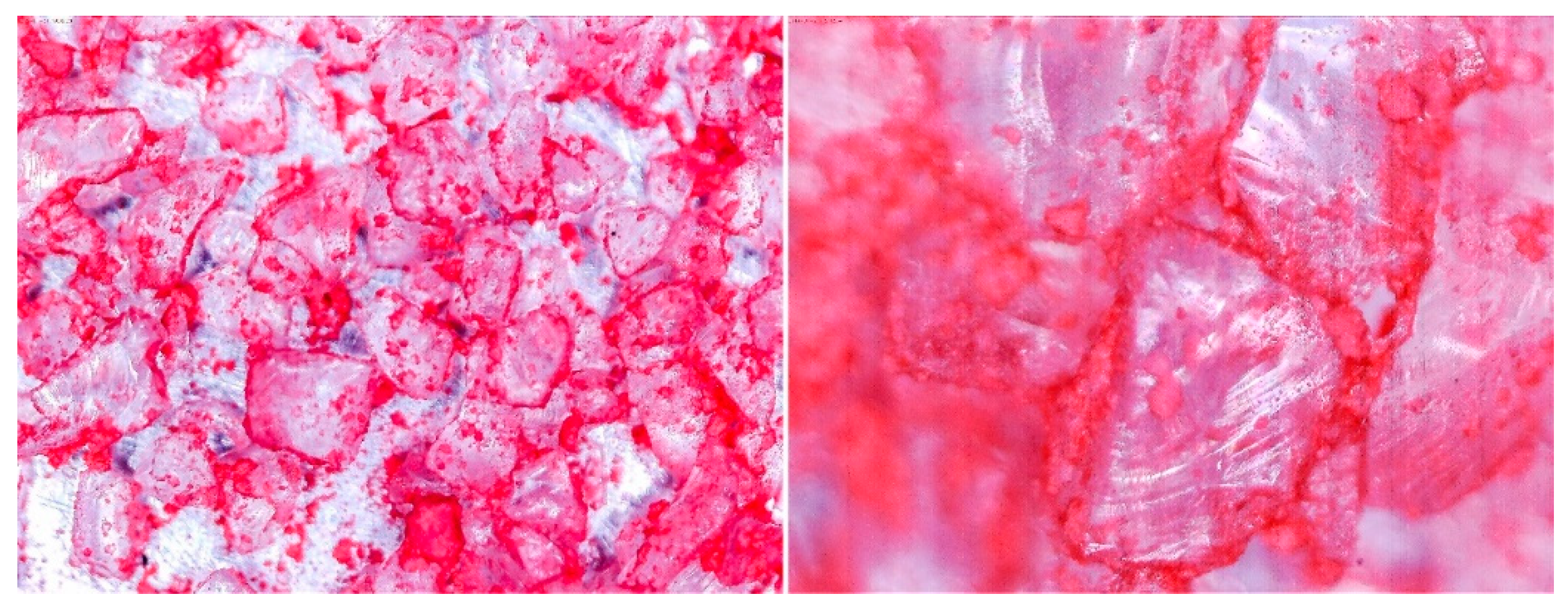 Entropy 22 00327 g009 Entropy 22 00327 g009