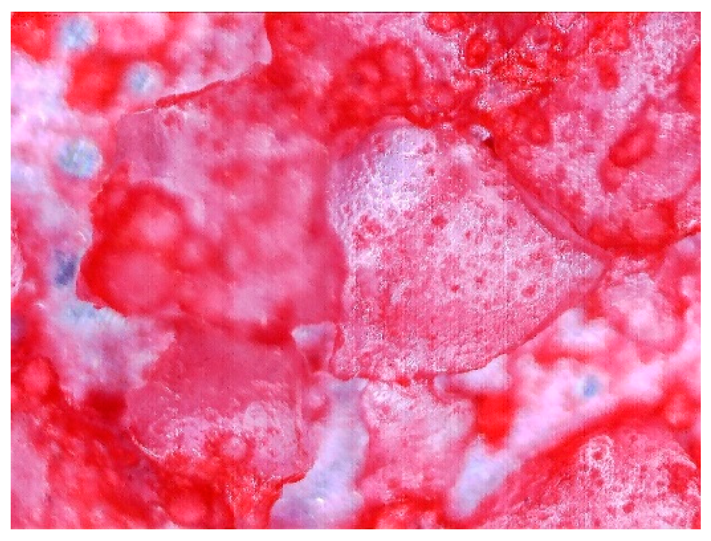 Entropy 22 00327 g010 Entropy 22 00327 g010