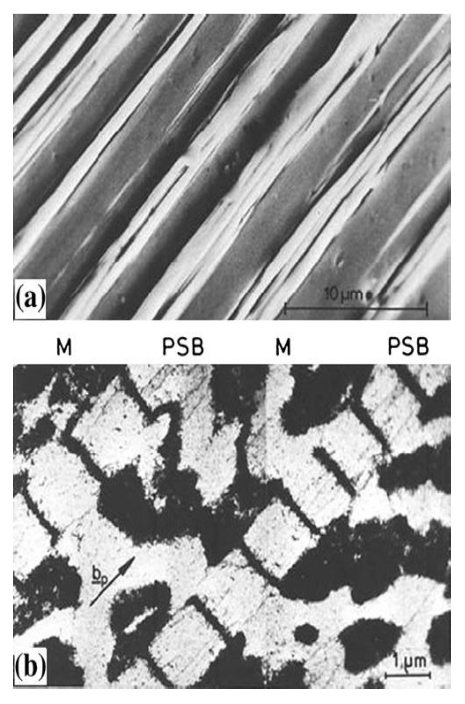 Entropy 22 00372 g004 Entropy 22 00372 g004