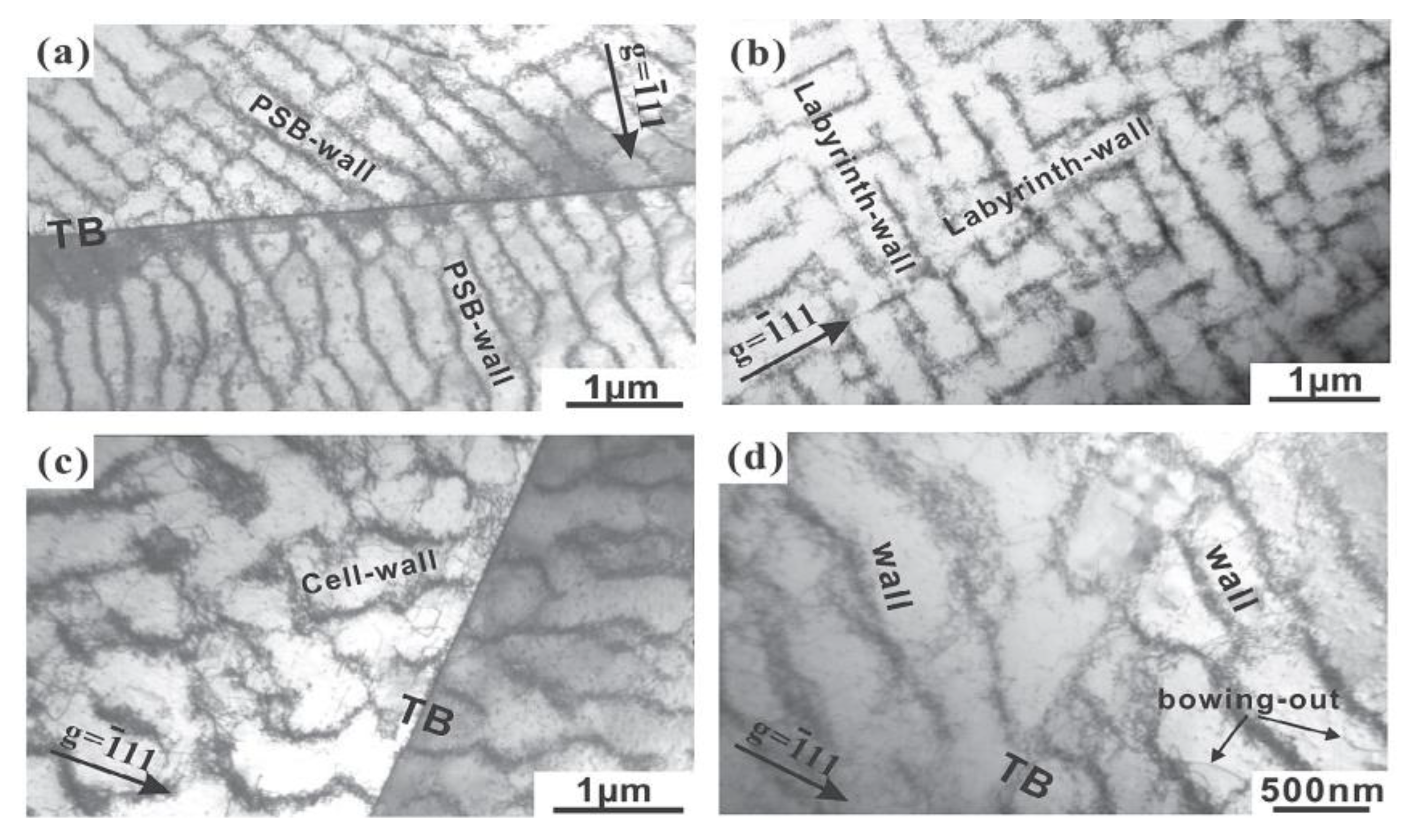 Entropy 22 00372 g005 Entropy 22 00372 g005