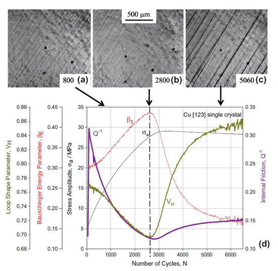 On the Evidence of Thermodynamic Self-Organization during