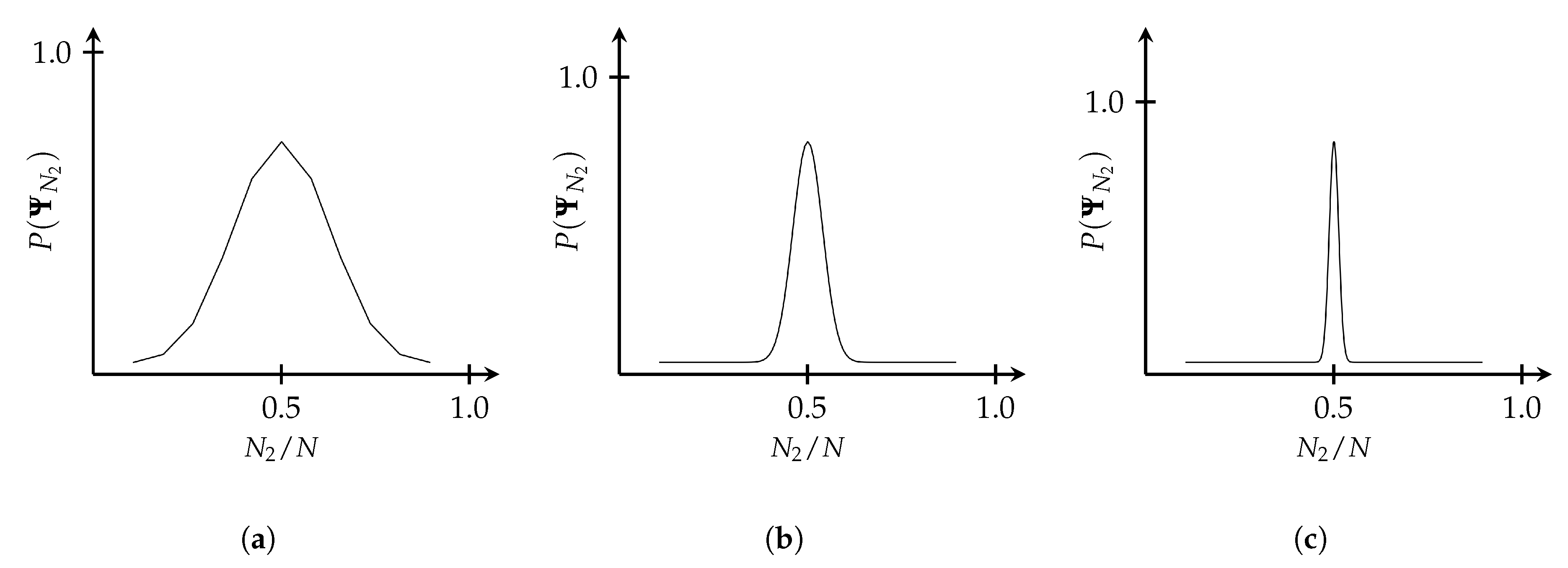 Entropy 22 00568 g003