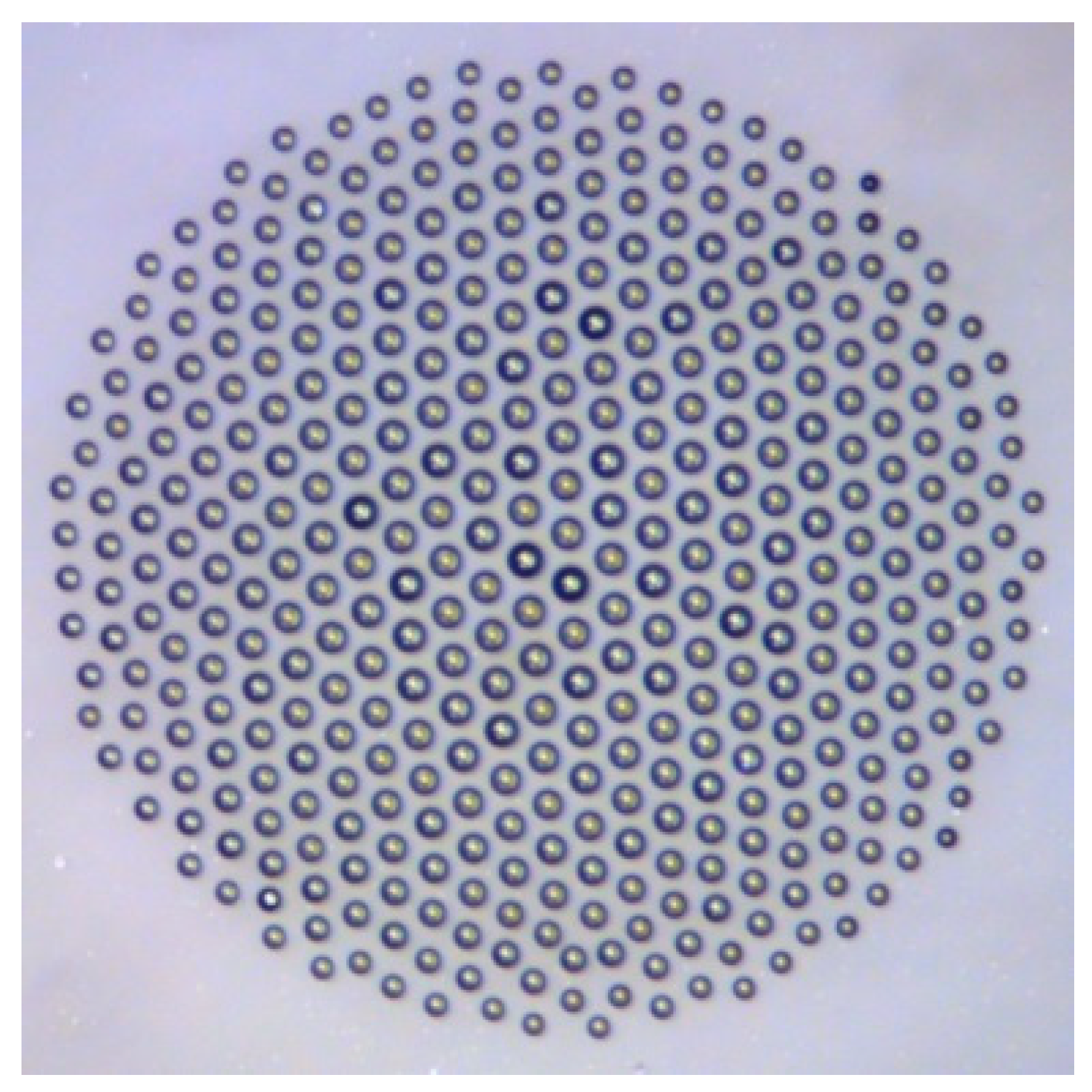 Entropy 22 00622 g006