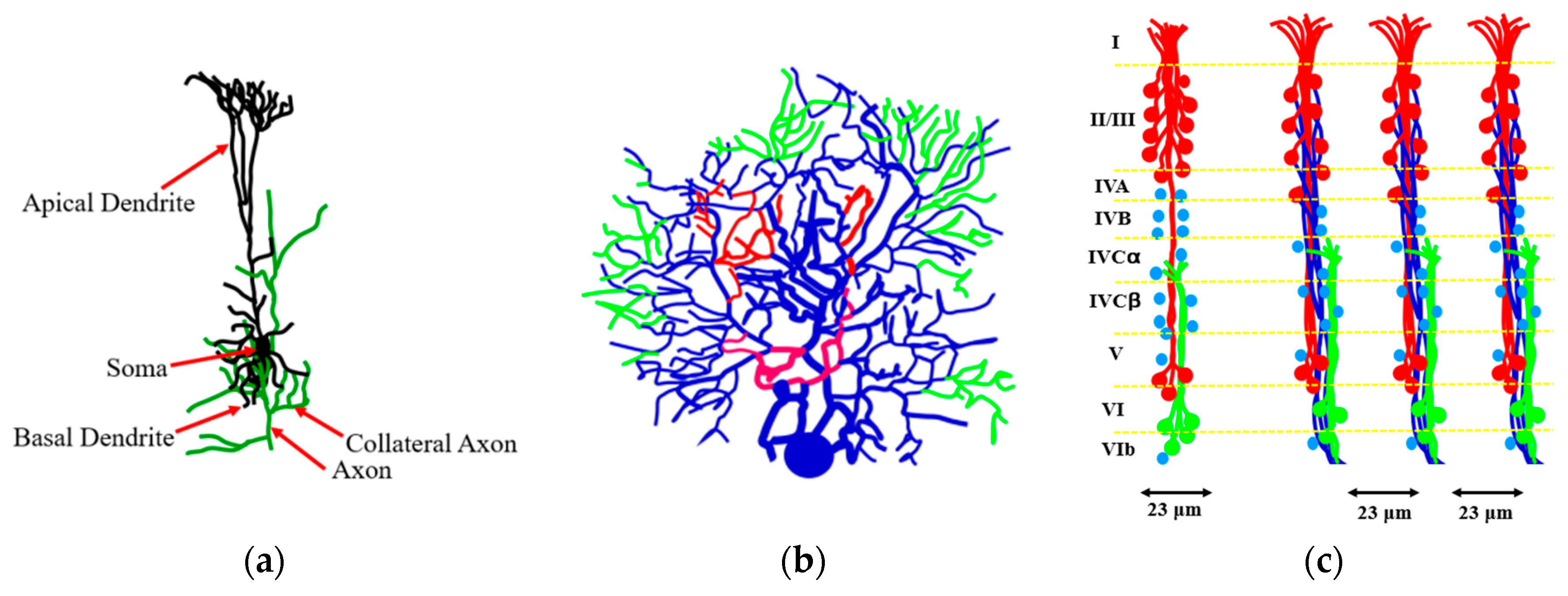 Entropy 22 00622 g011