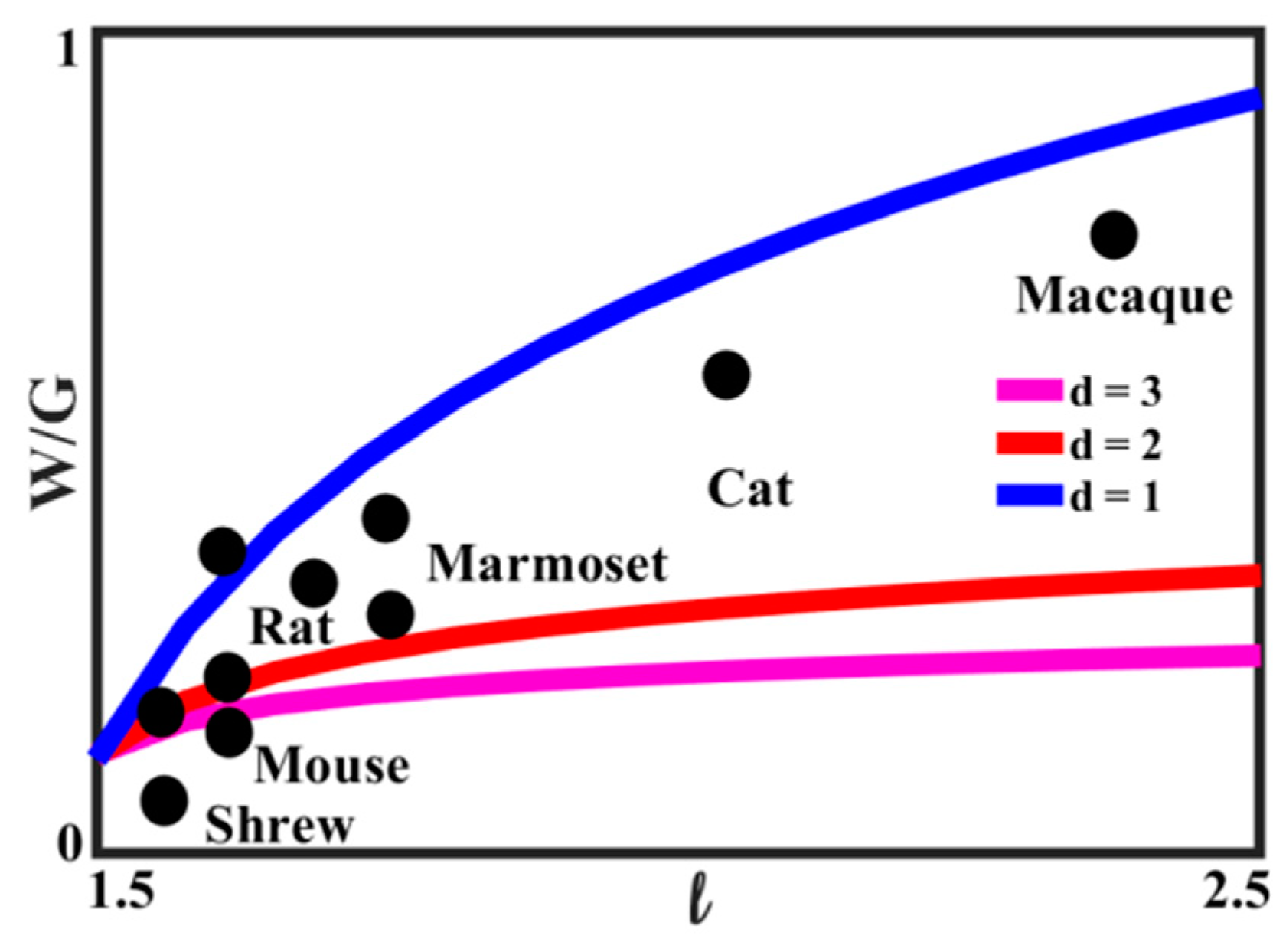 Entropy 22 00622 g016