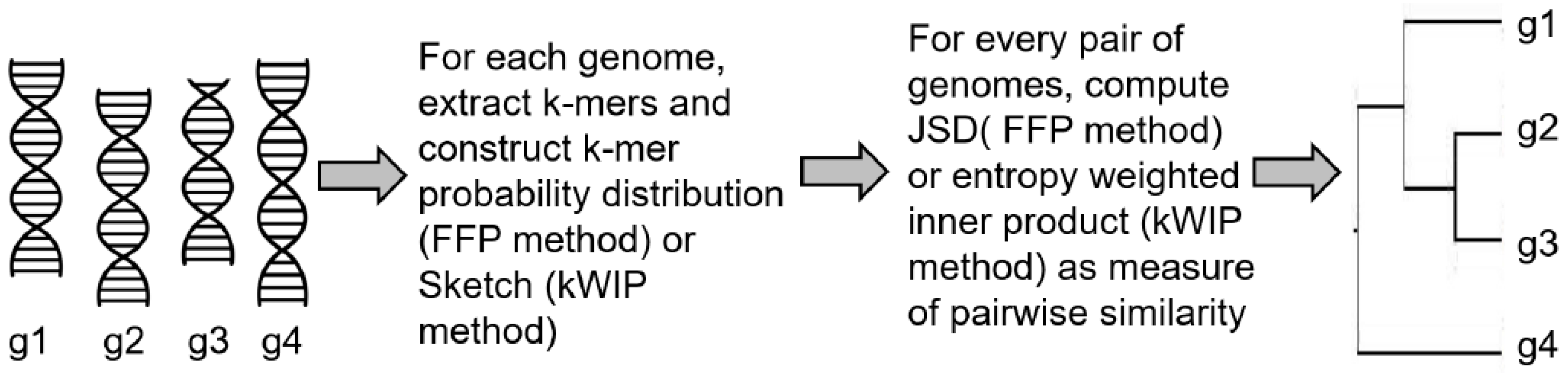 Entropy 22 00627 g002
