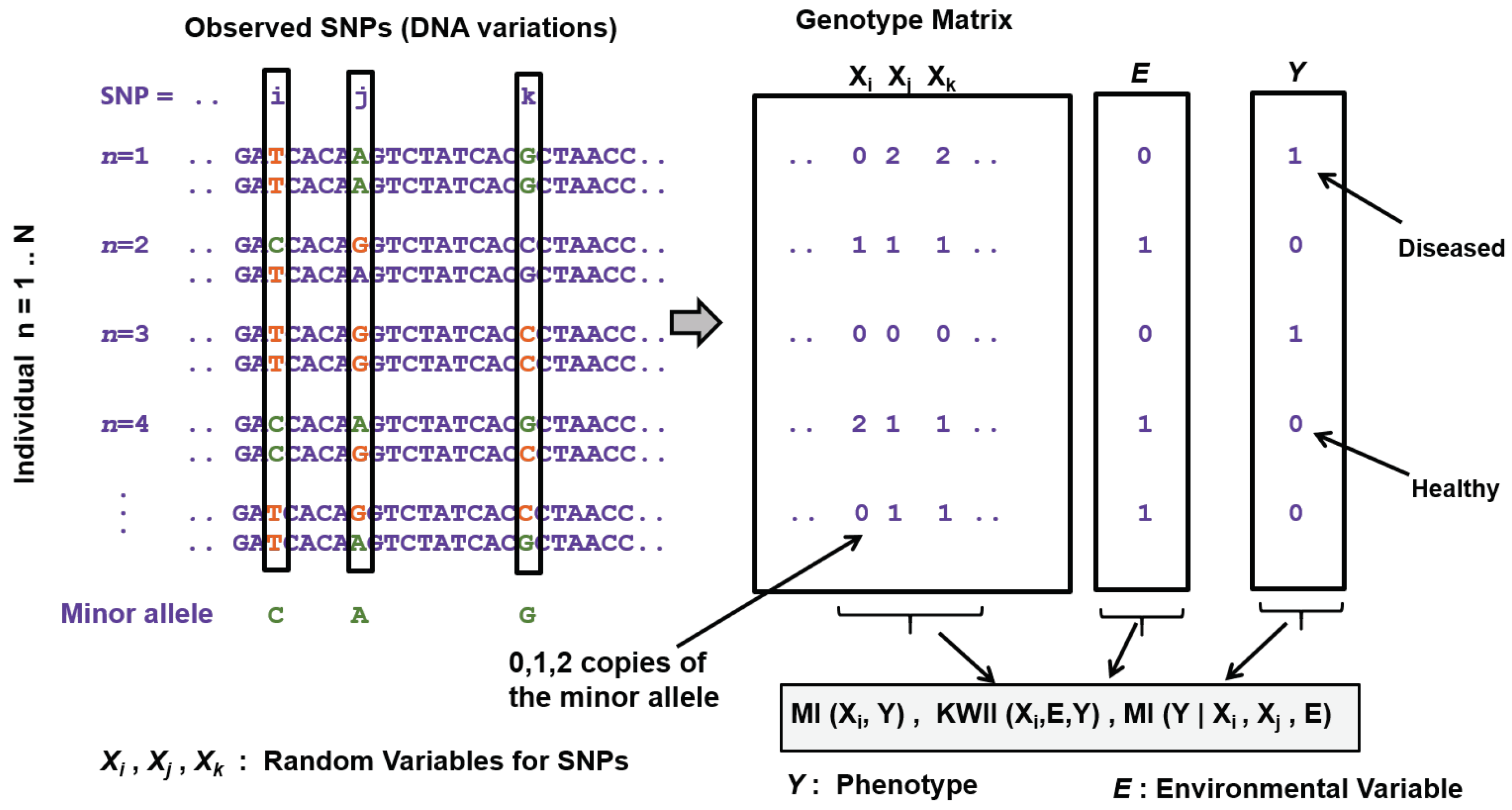 Entropy 22 00627 g004