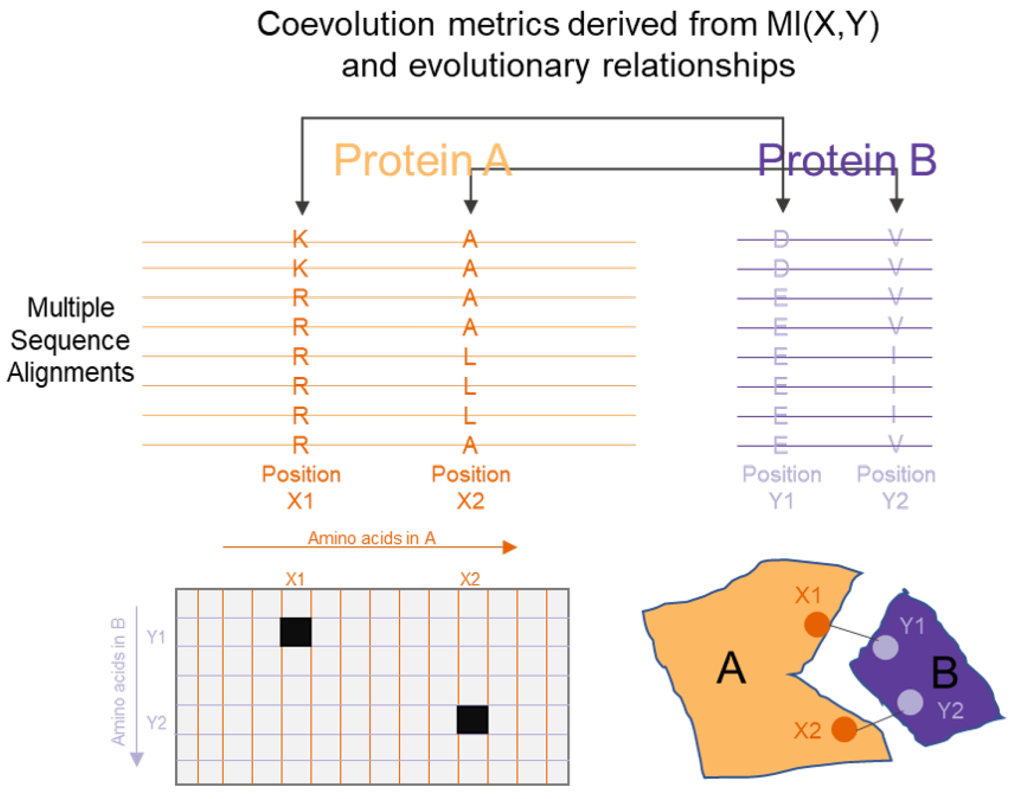 Entropy 22 00627 g005