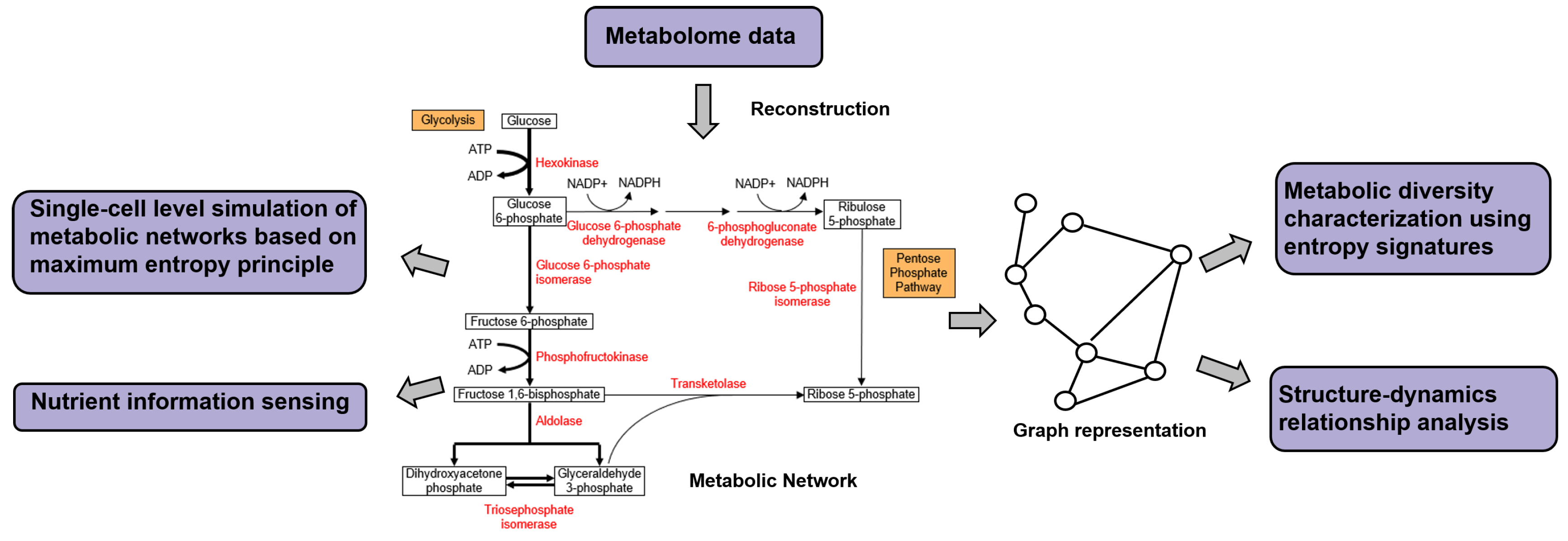 Entropy 22 00627 g006