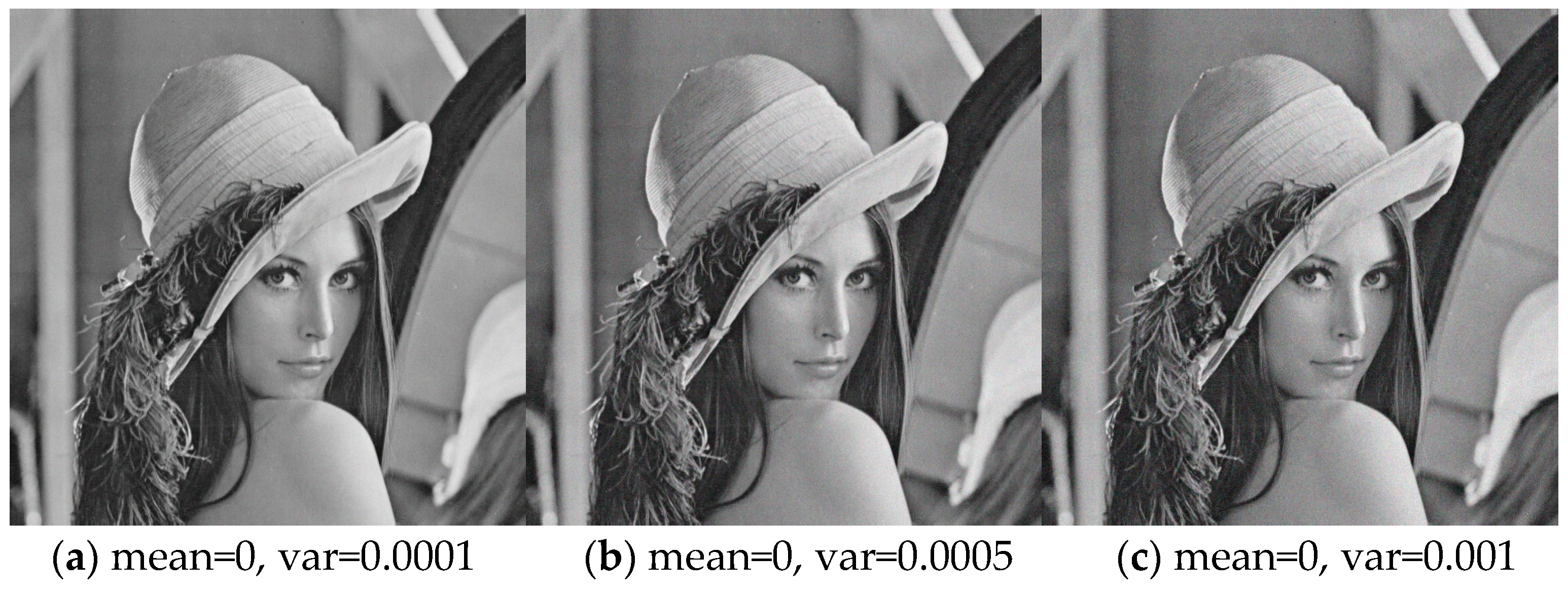 Entropy 22 00640 g007a