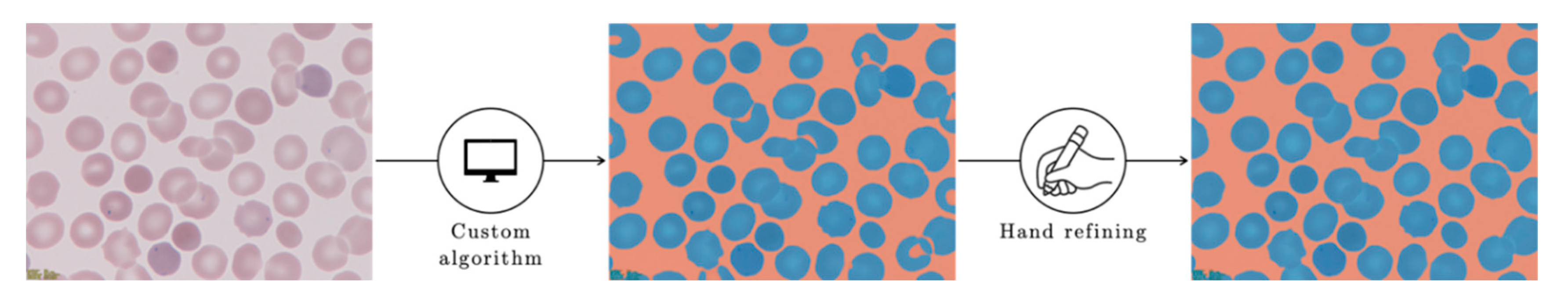 Entropy 22 00657 g004 Entropy 22 00657 g004