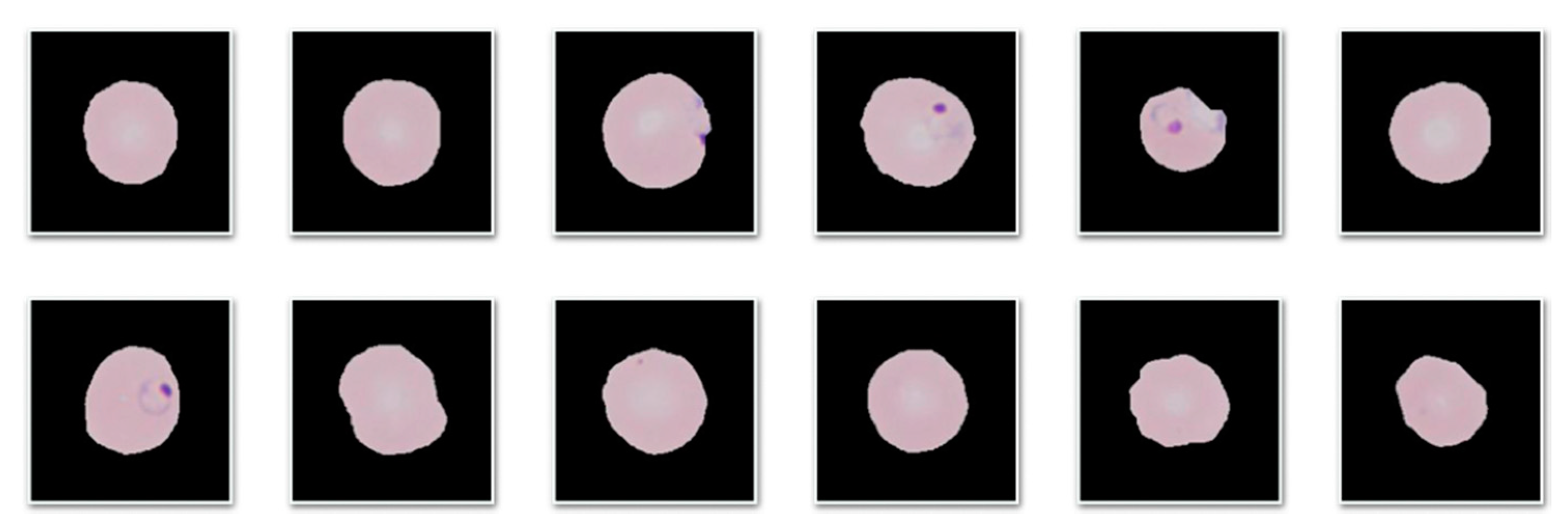 Entropy 22 00657 g007 Entropy 22 00657 g007