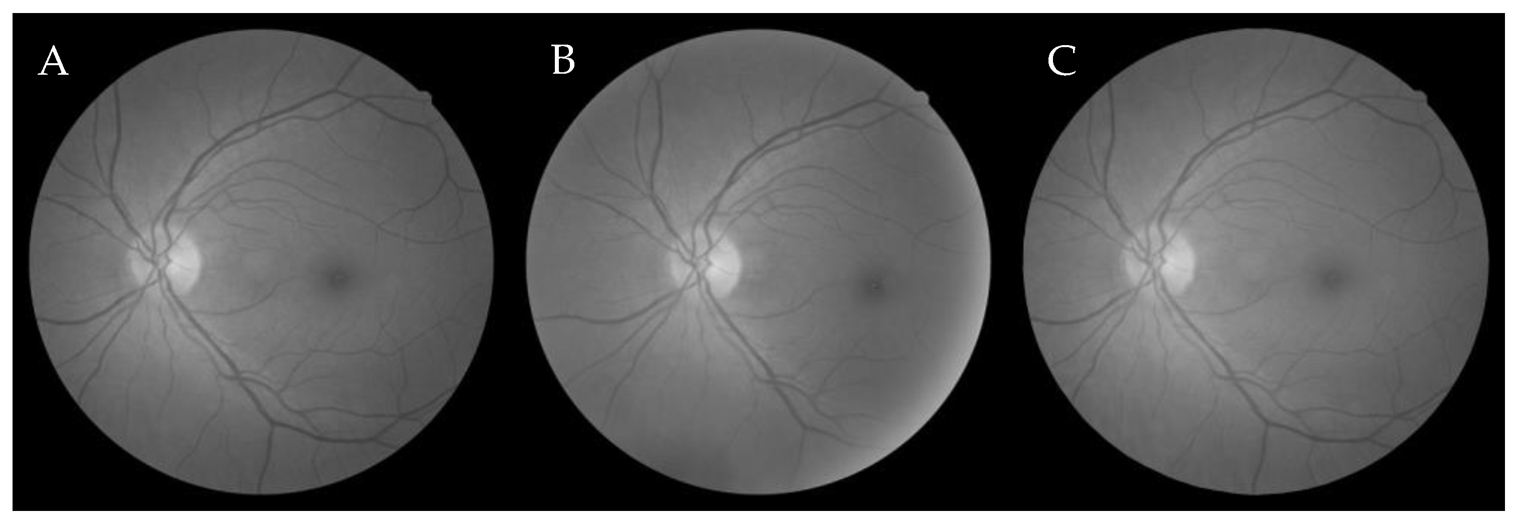 Entropy 22 00659 g002 Entropy 22 00659 g002