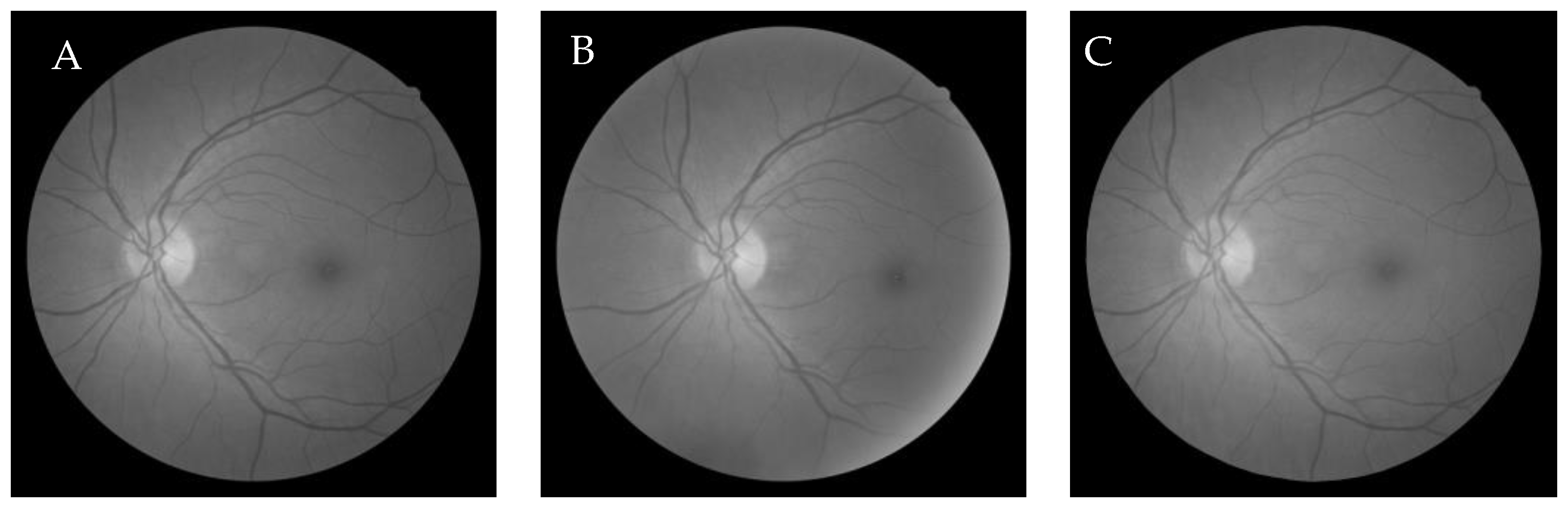 Entropy 22 00659 g006 Entropy 22 00659 g006
