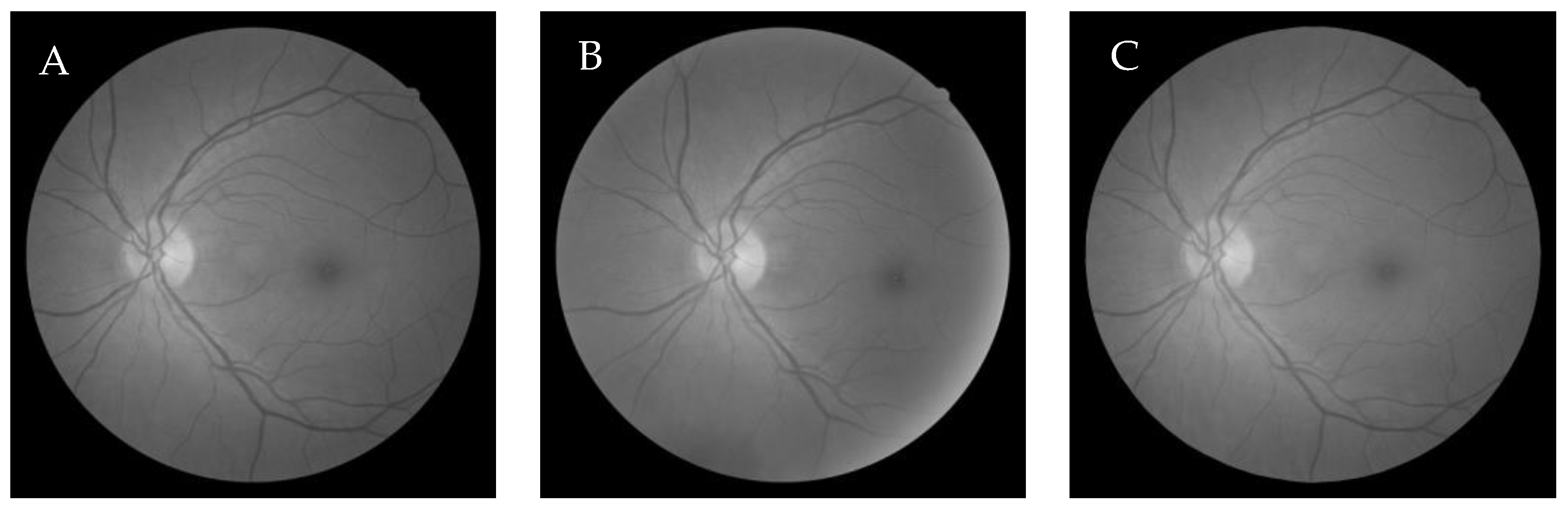 Entropy 22 00659 g011 Entropy 22 00659 g011