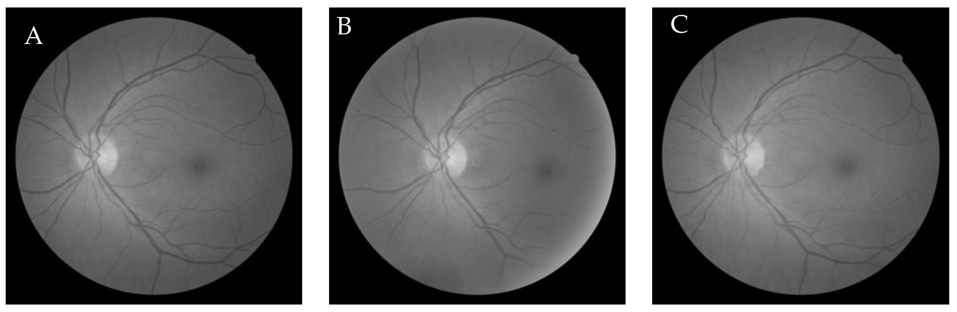 Entropy 22 00659 g013 Entropy 22 00659 g013