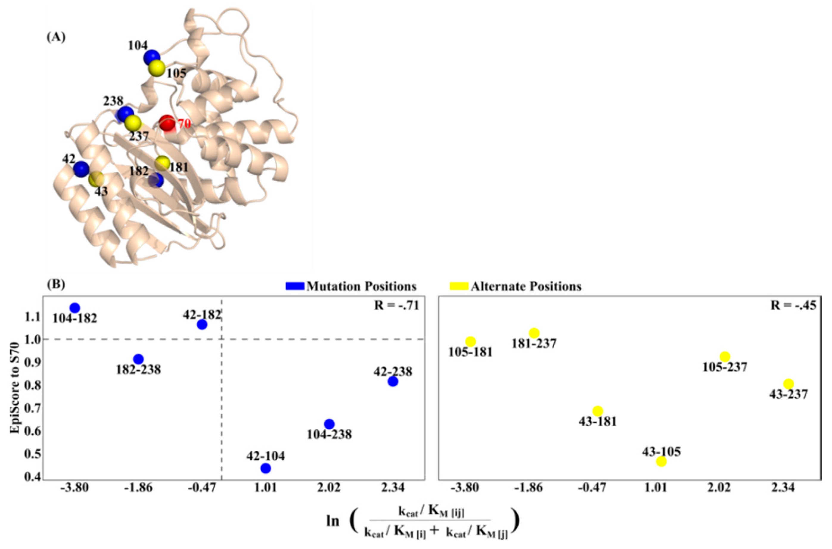 Entropy 22 00667 g006 Entropy 22 00667 g006
