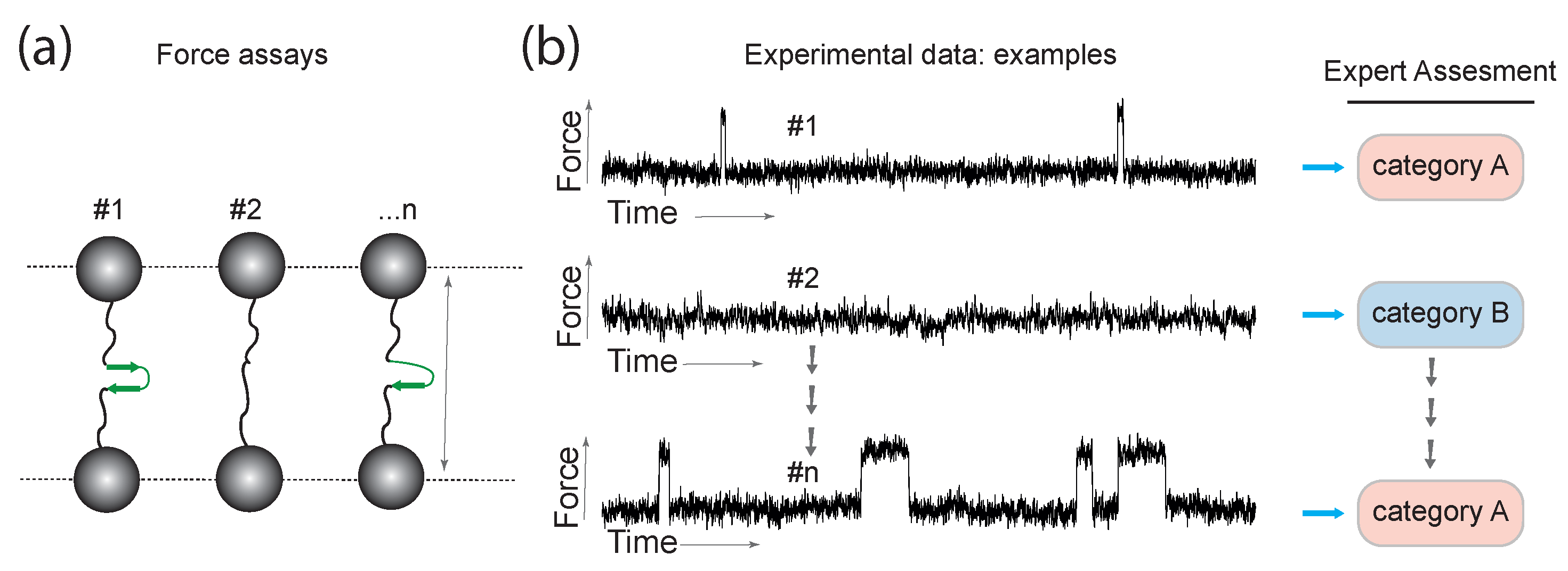 Entropy 22 00701 g001