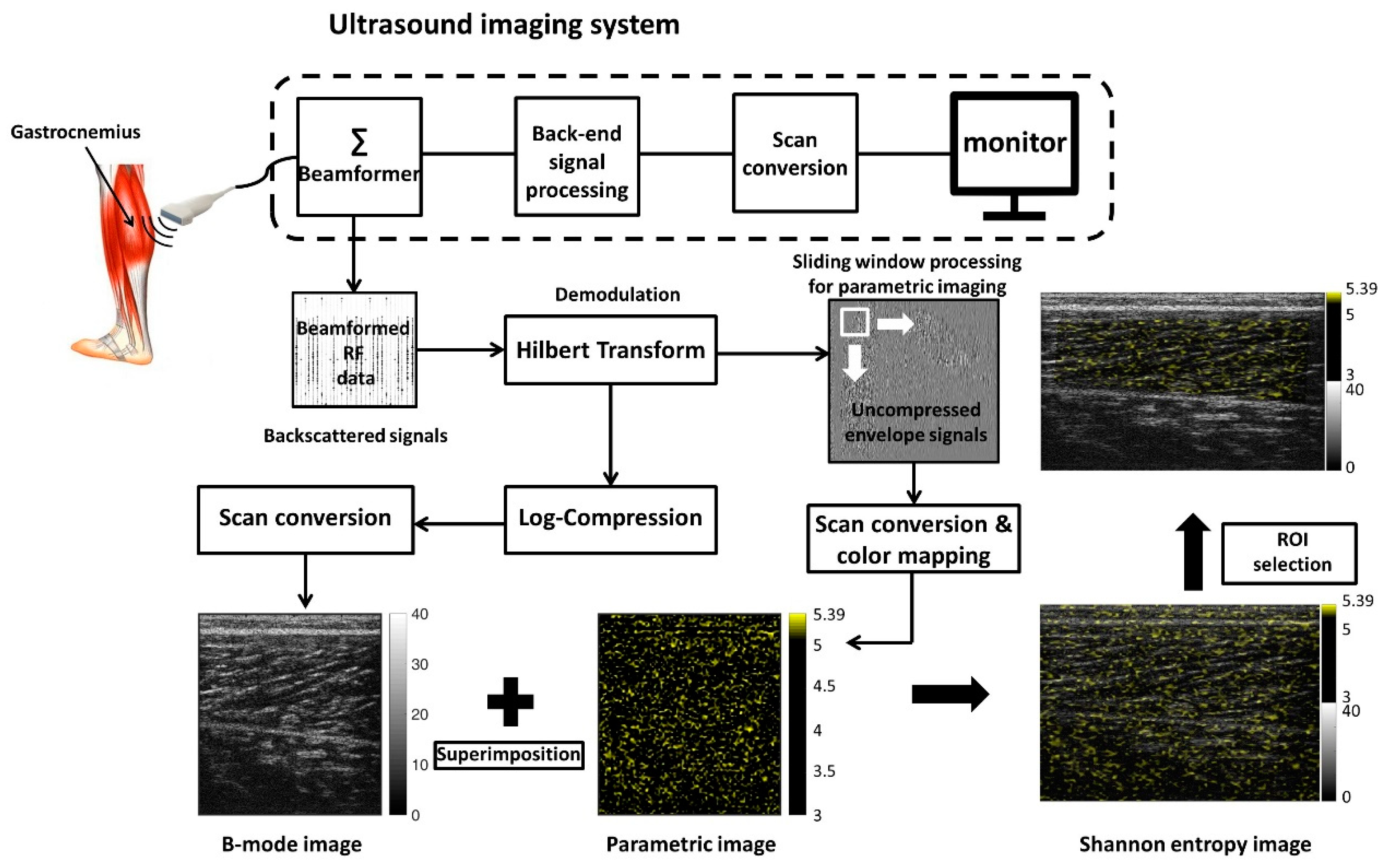 Entropy 22 00715 g001