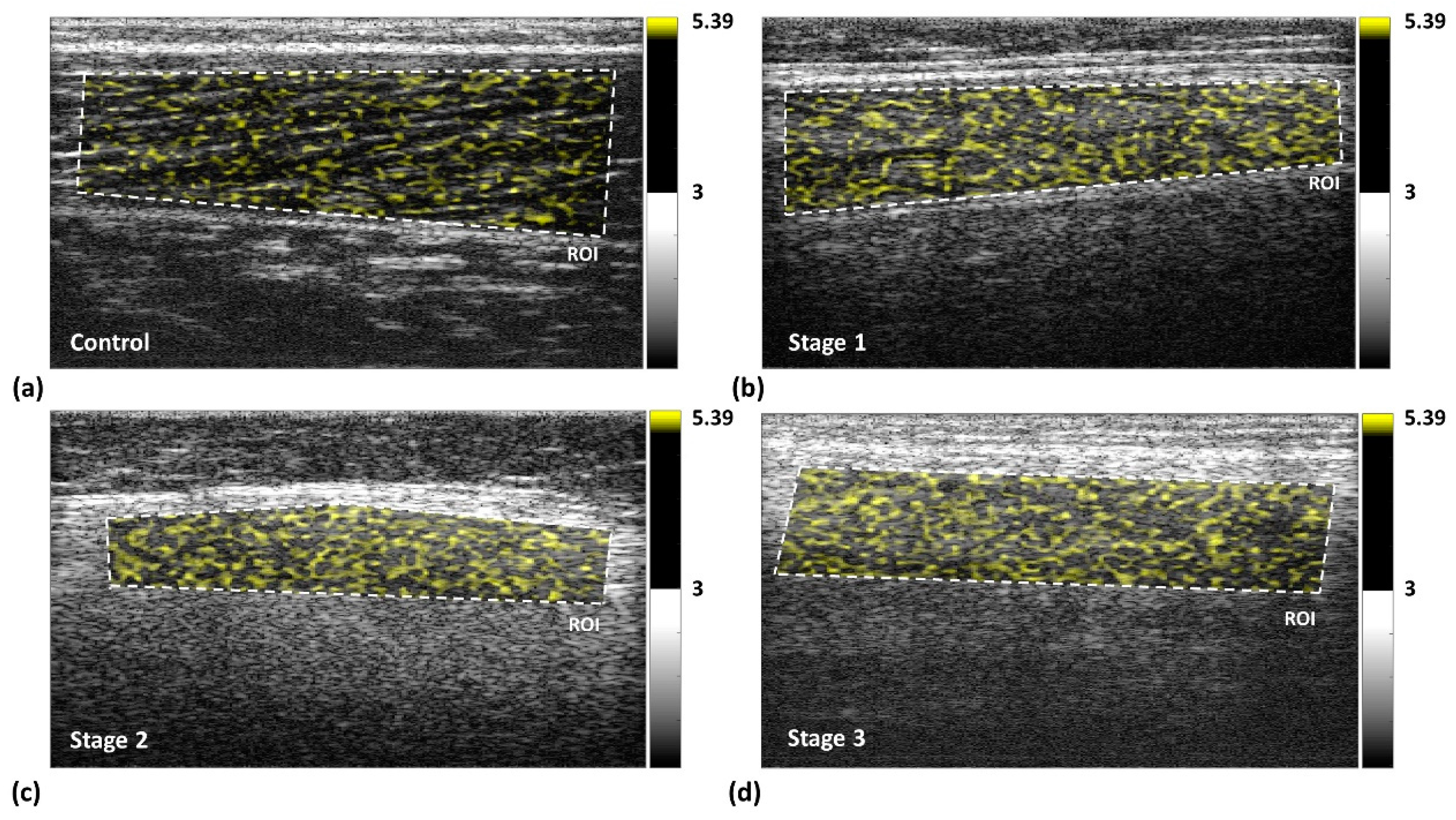 Entropy 22 00715 g002