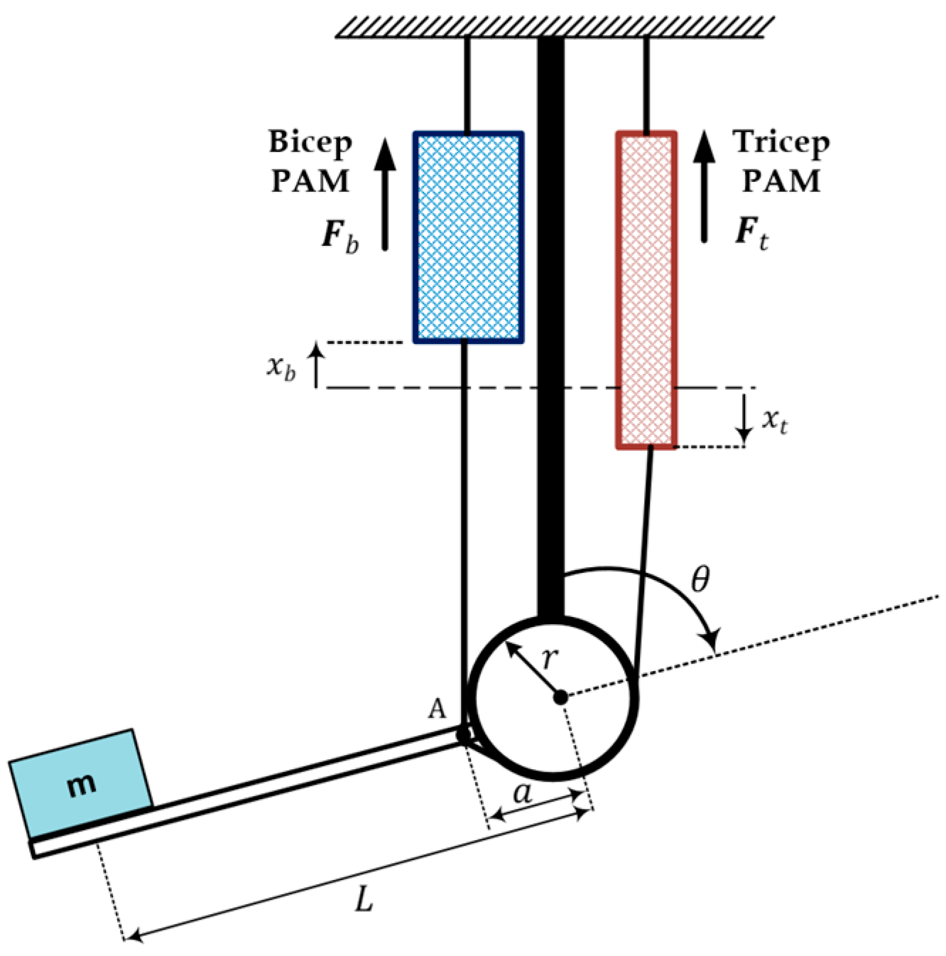 Entropy 22 00723 g001