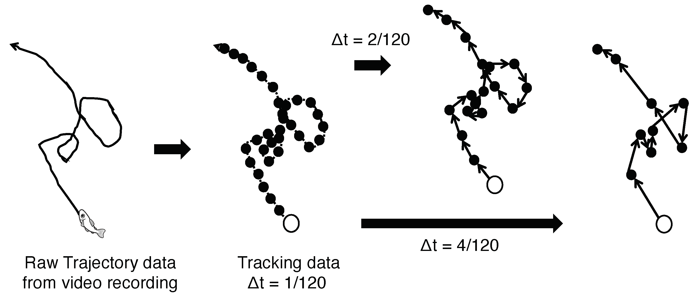 Entropy 22 00726 g001