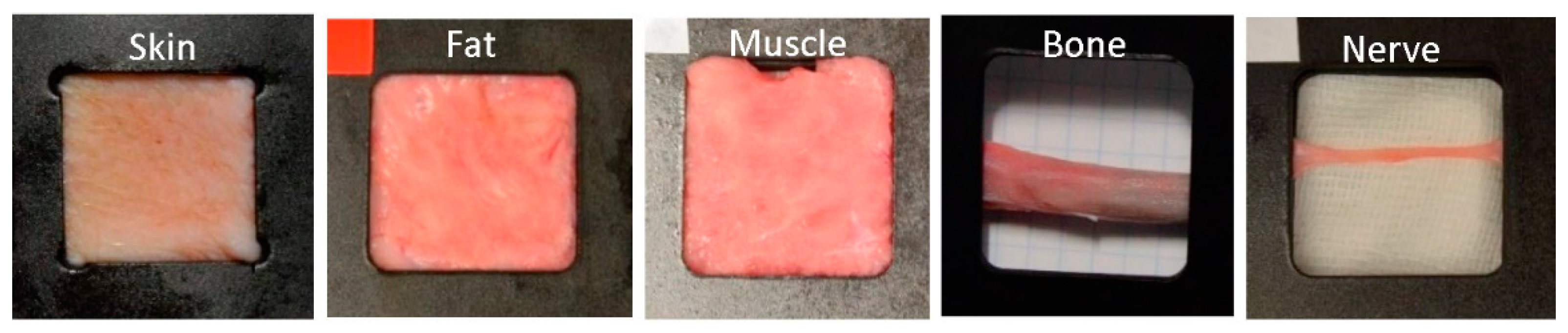 Entropy 22 00736 g001