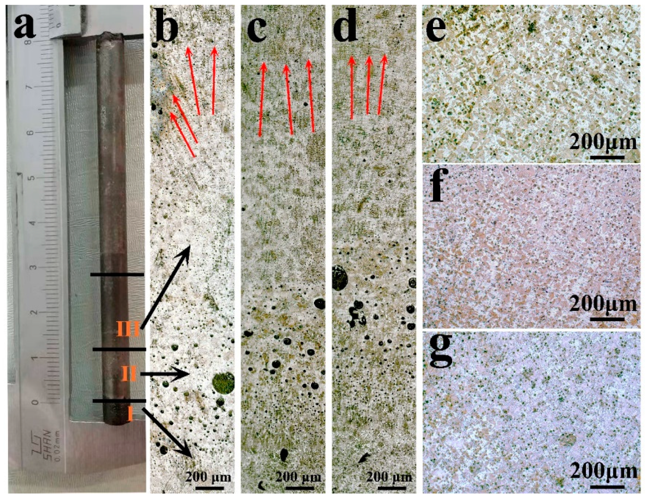Entropy 22 00786 g001 Entropy 22 00786 g001
