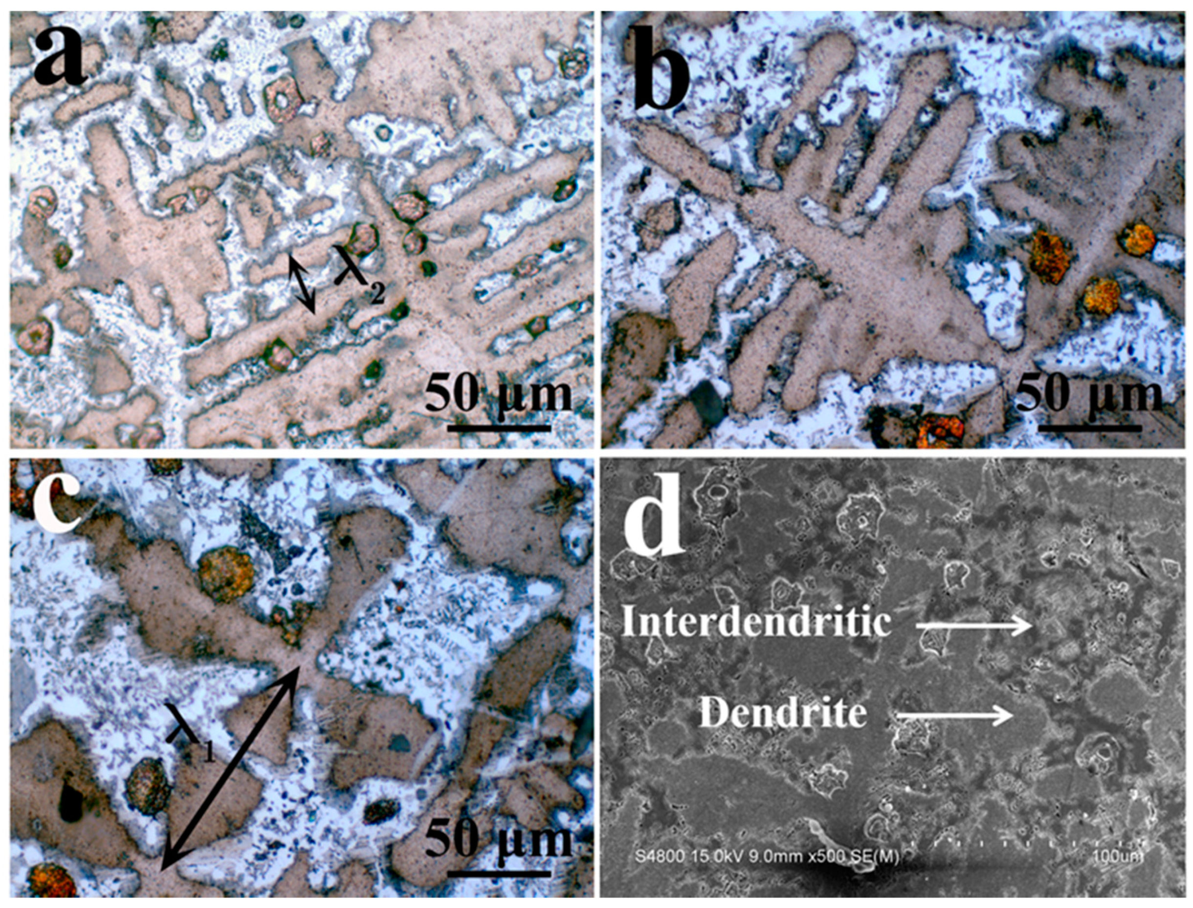 Entropy 22 00786 g003 Entropy 22 00786 g003