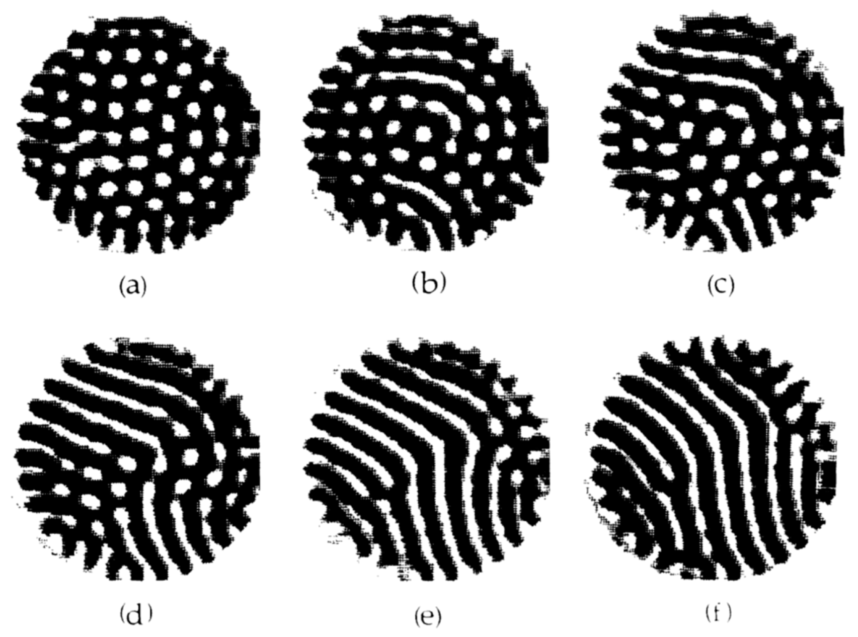 Entropy 22 00800 g004