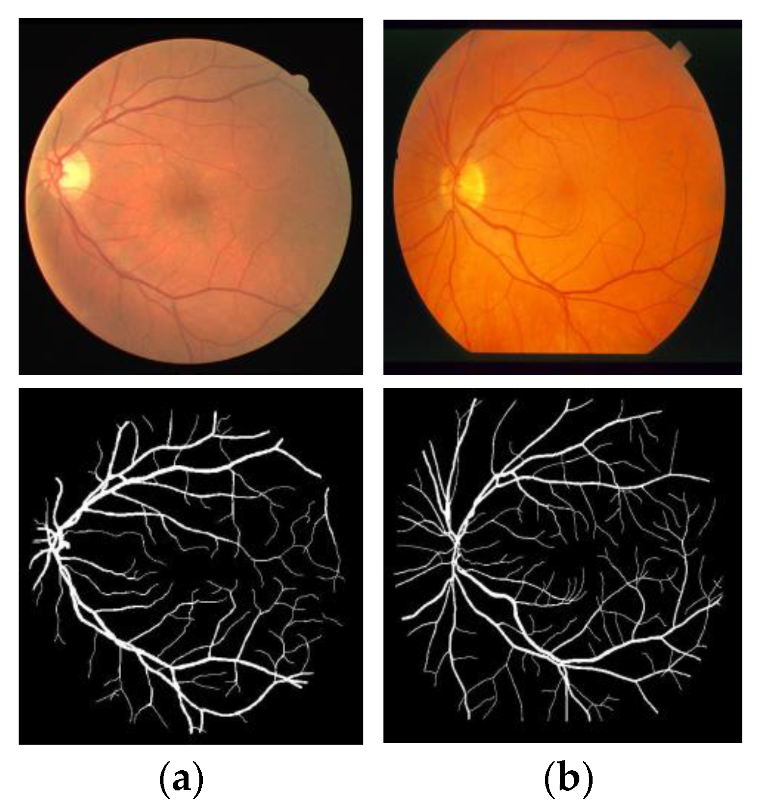 Entropy 22 00811 g007 Entropy 22 00811 g007