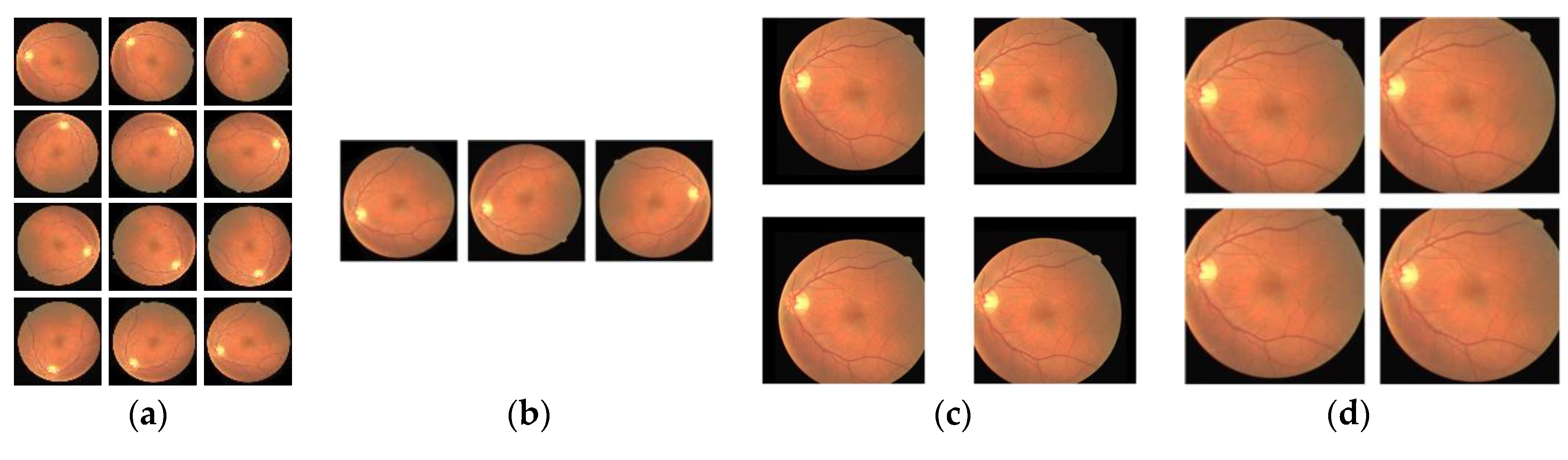 Entropy 22 00811 g008 Entropy 22 00811 g008