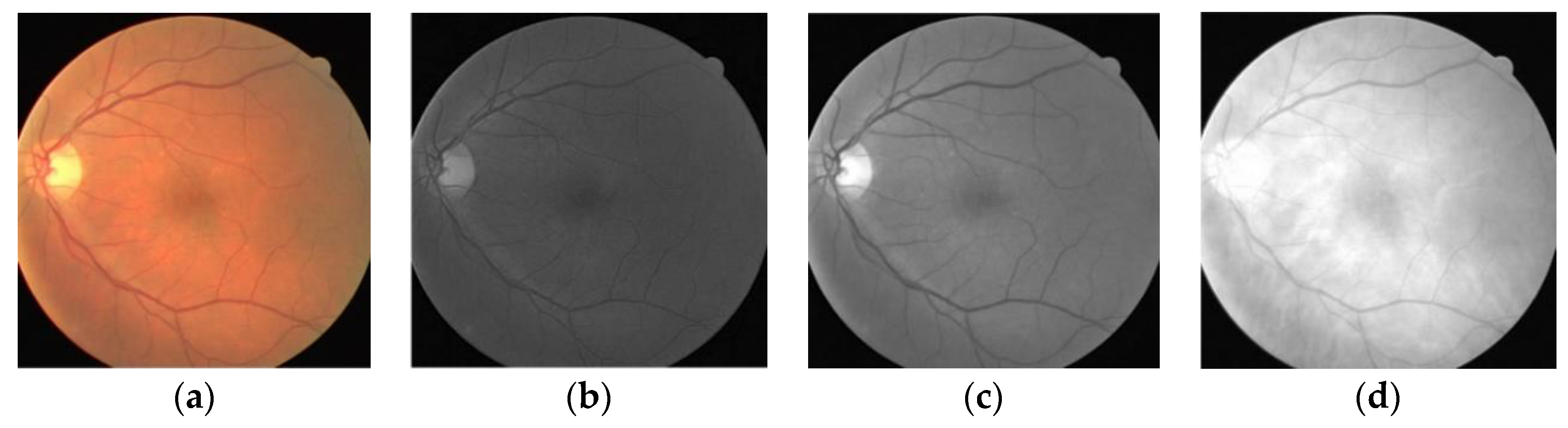 Entropy 22 00811 g009 Entropy 22 00811 g009
