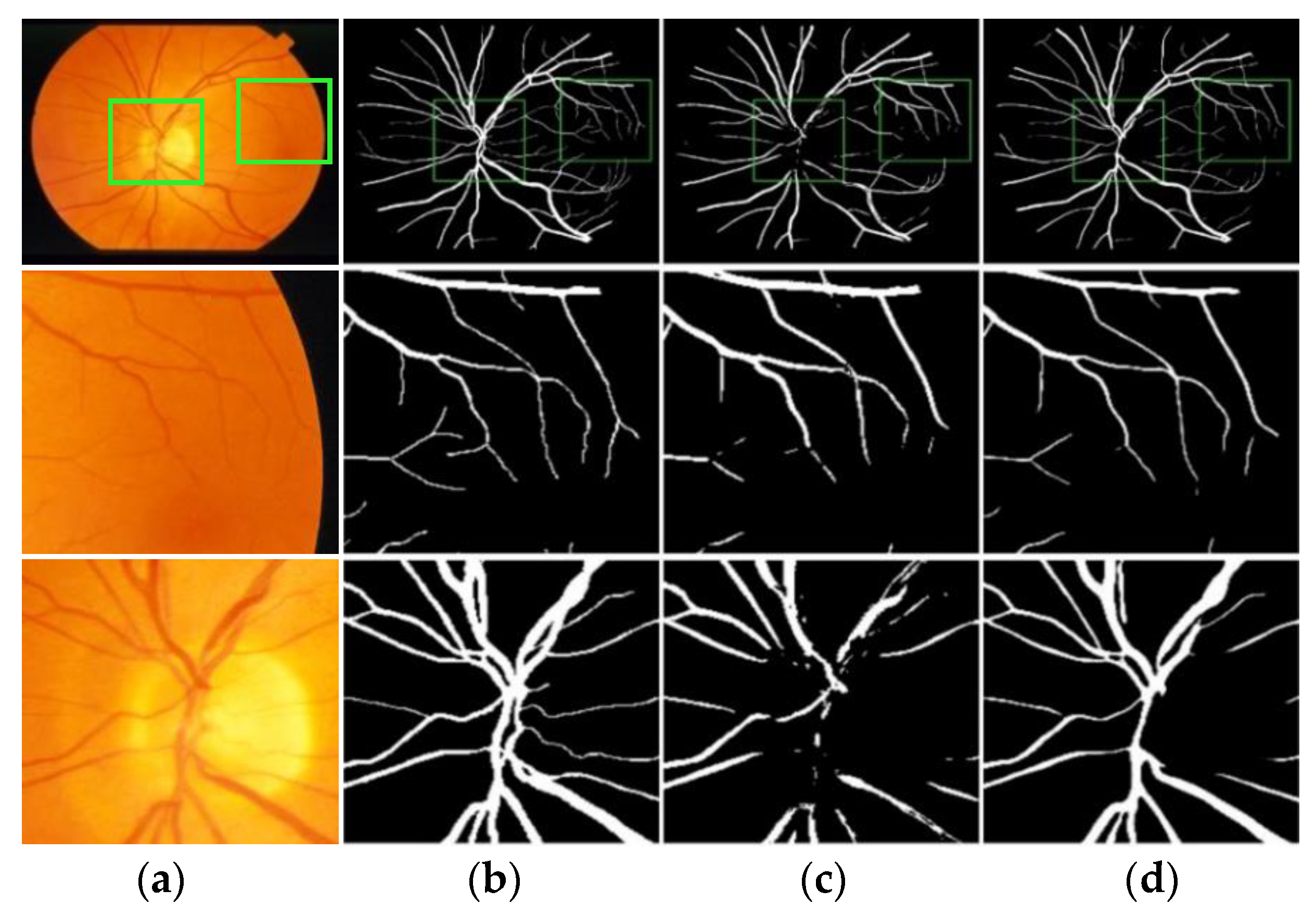 Entropy 22 00811 g015 Entropy 22 00811 g015