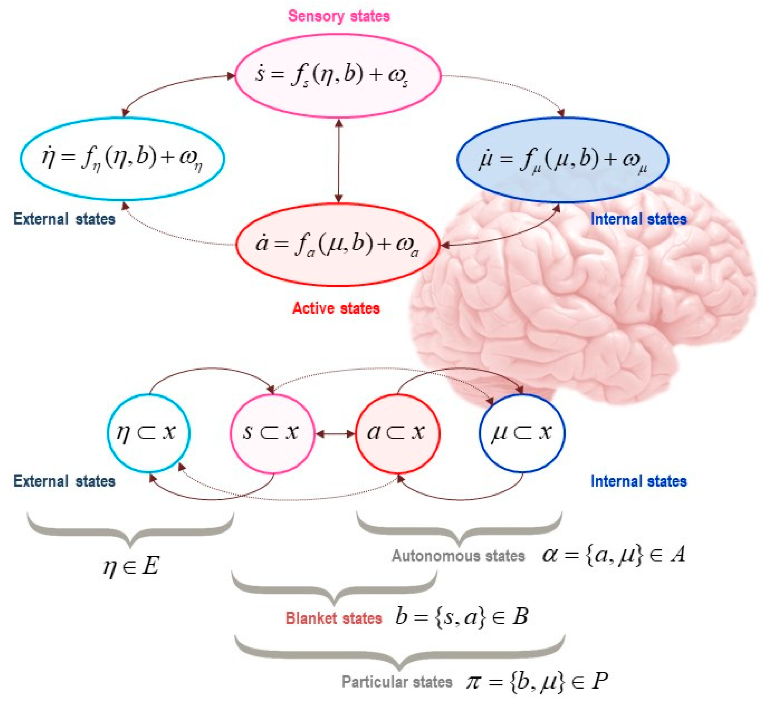 Entropy 22 00889 g002
