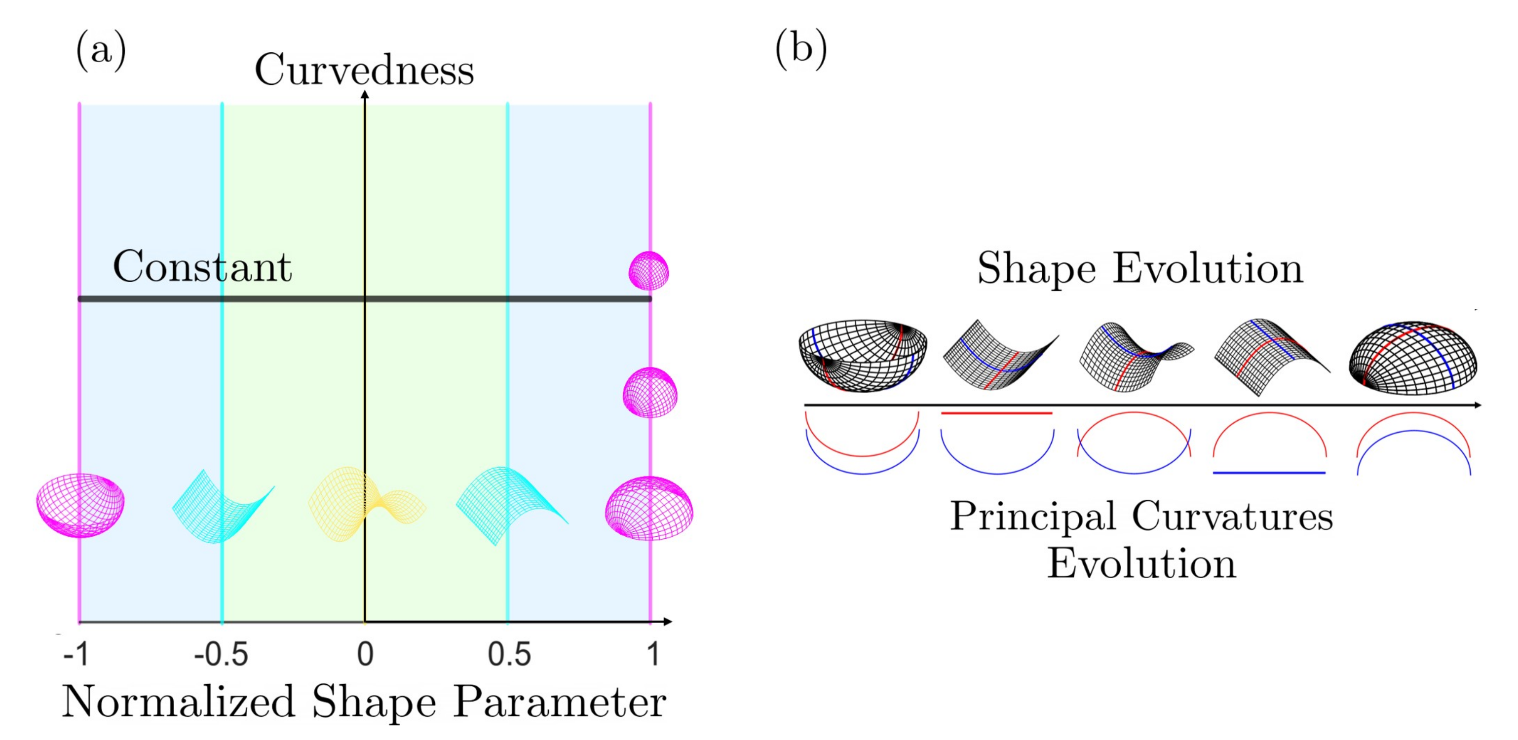 Entropy 22 00909 g002 Entropy 22 00909 g002